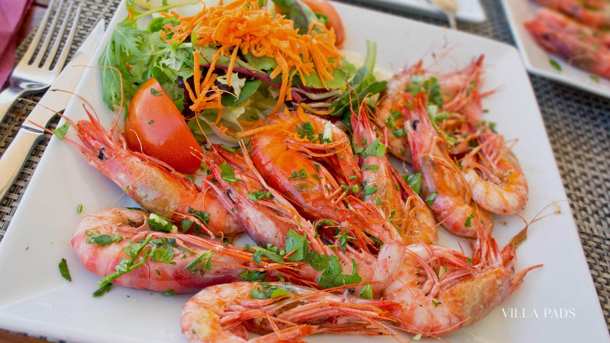 Villa Dinner Mediterranean Theme