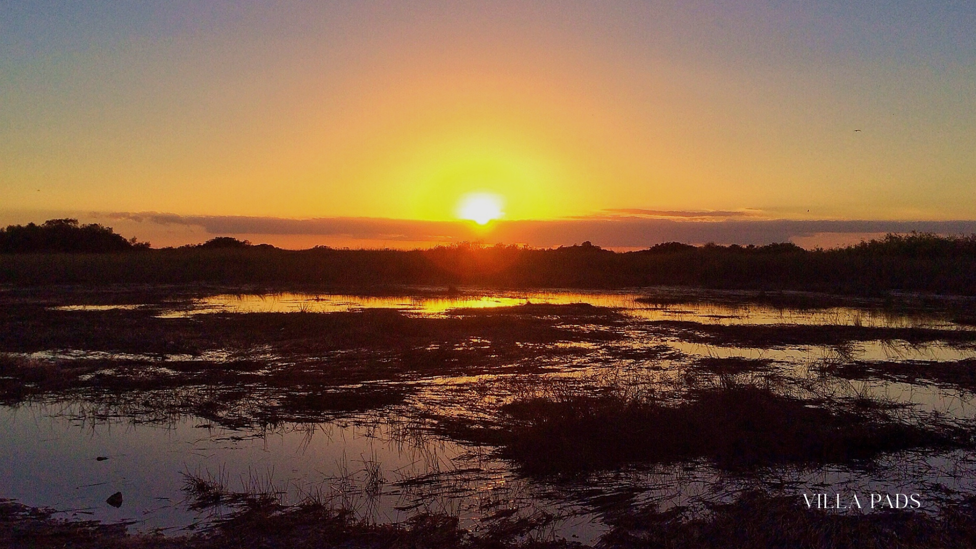 Everglades Airboat Tour Day Trip
