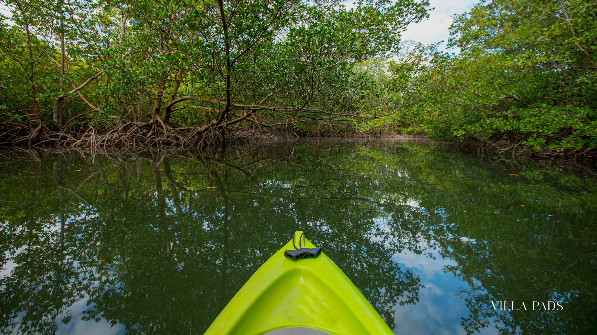 Kayaking Romance Miami