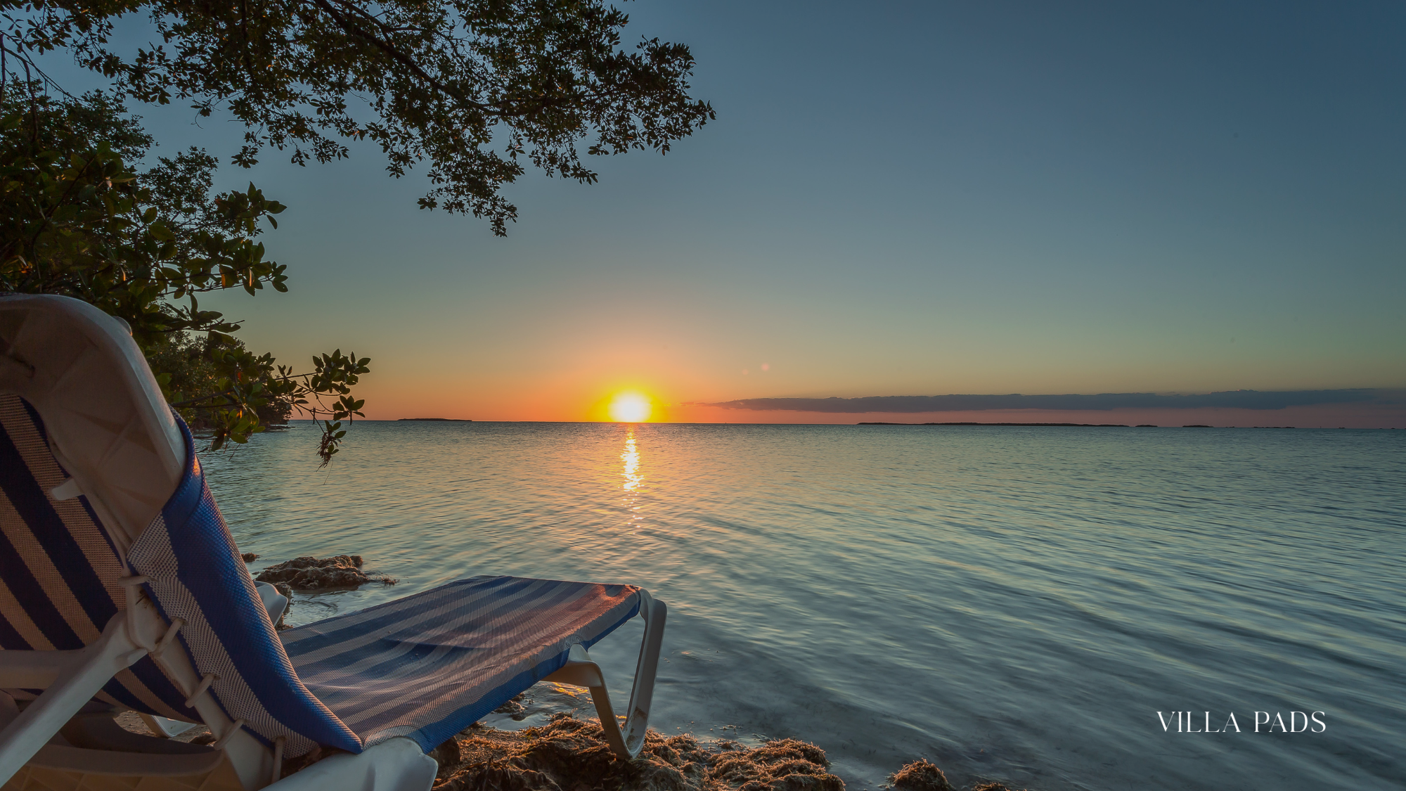 Dry Martini Island Key Largo