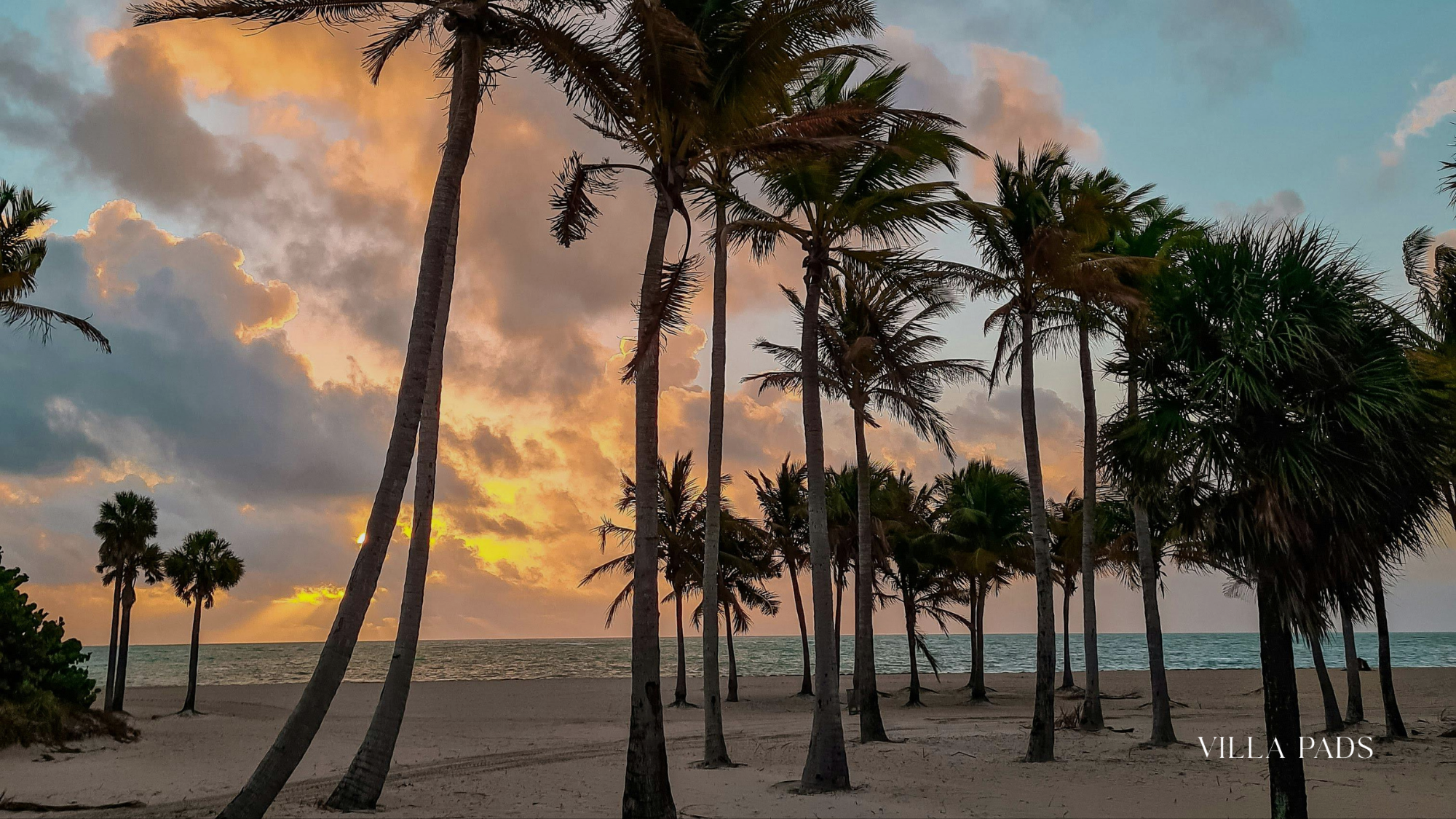 Standard Spa Miami Wellness