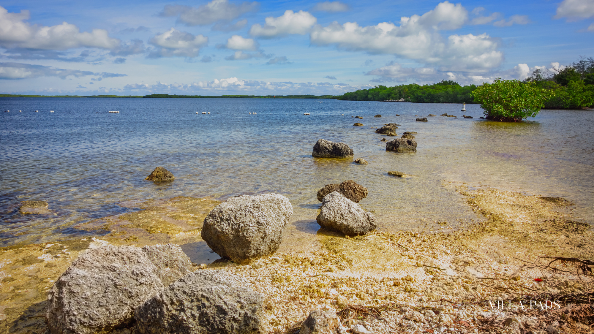 Pennekamp Reef Snorkeling Tour