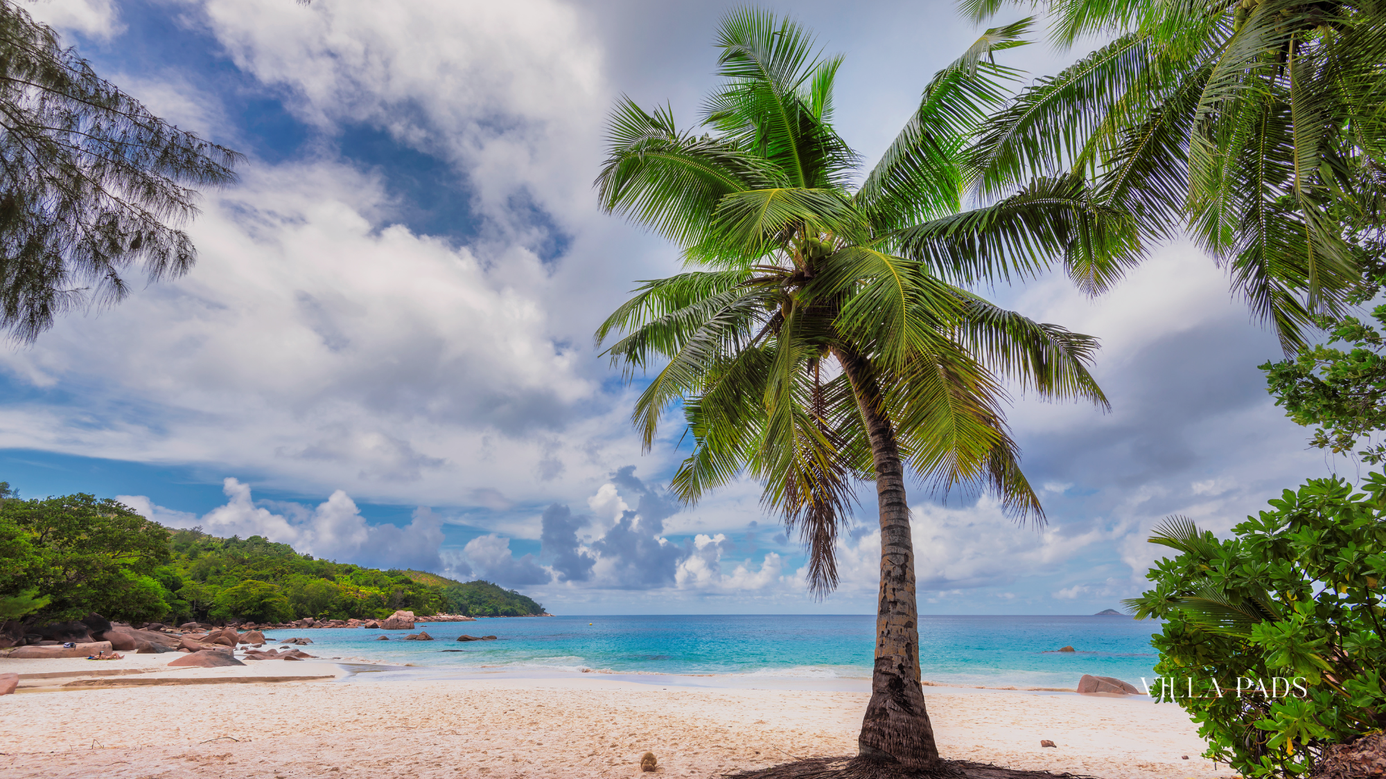 Harbour Island Pink Sand Beach