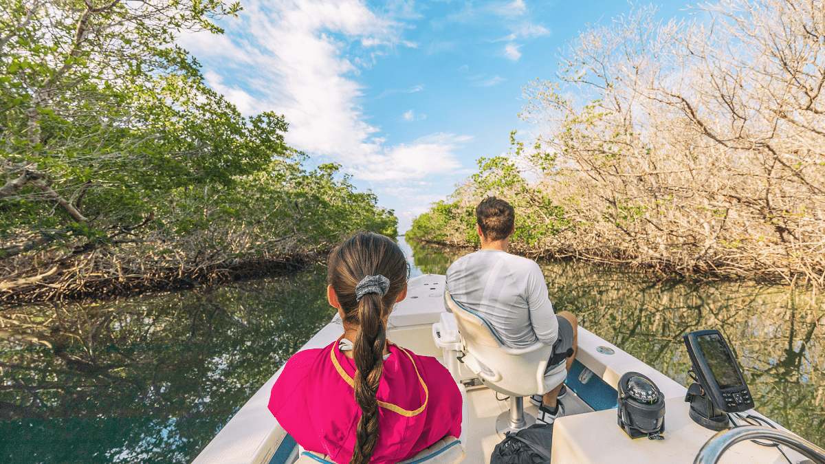 Everglades Romantic Eco Tour