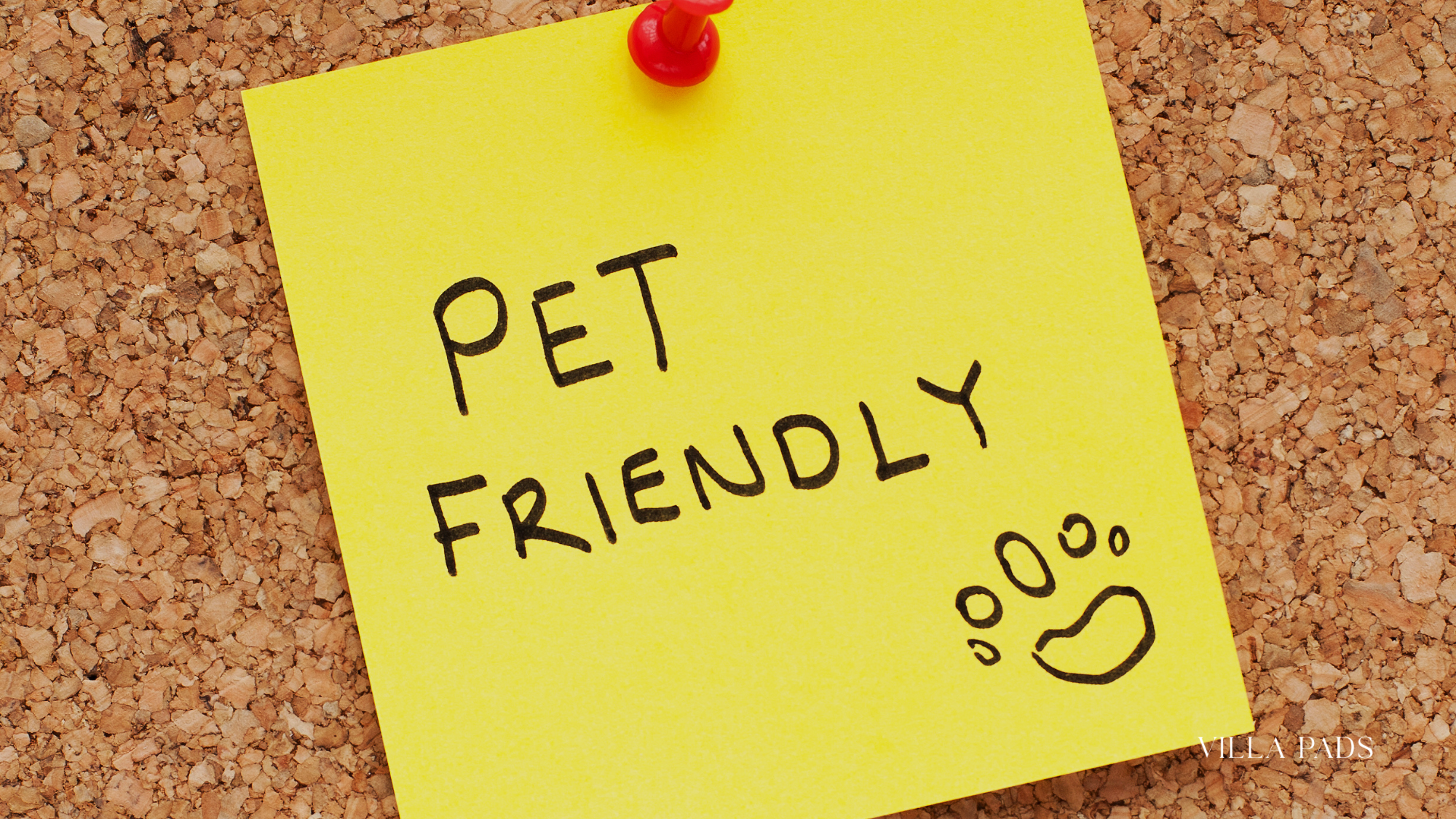 Pet Friendly Underline Trail