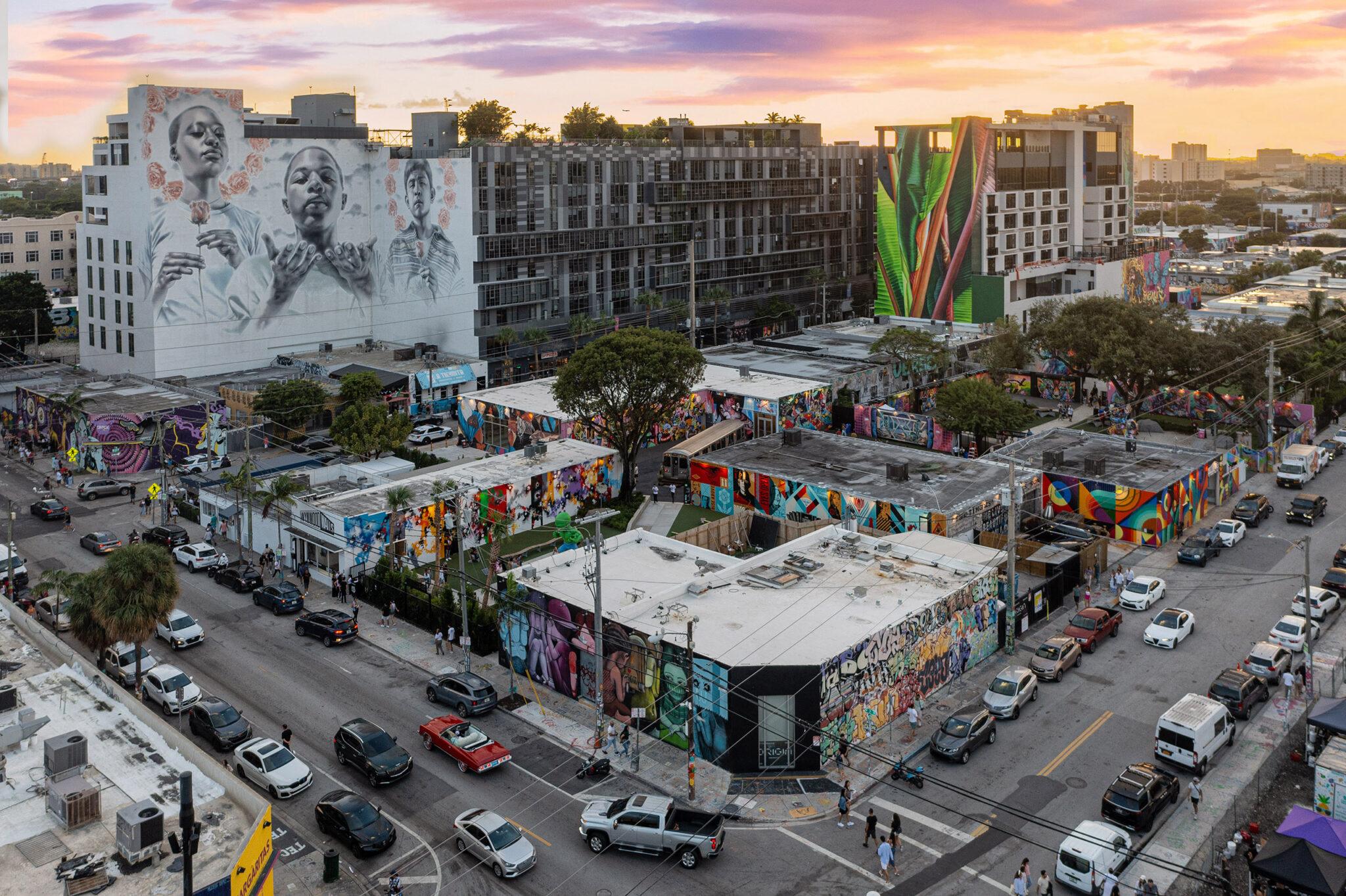 Wynwood Celebrity Art Tour