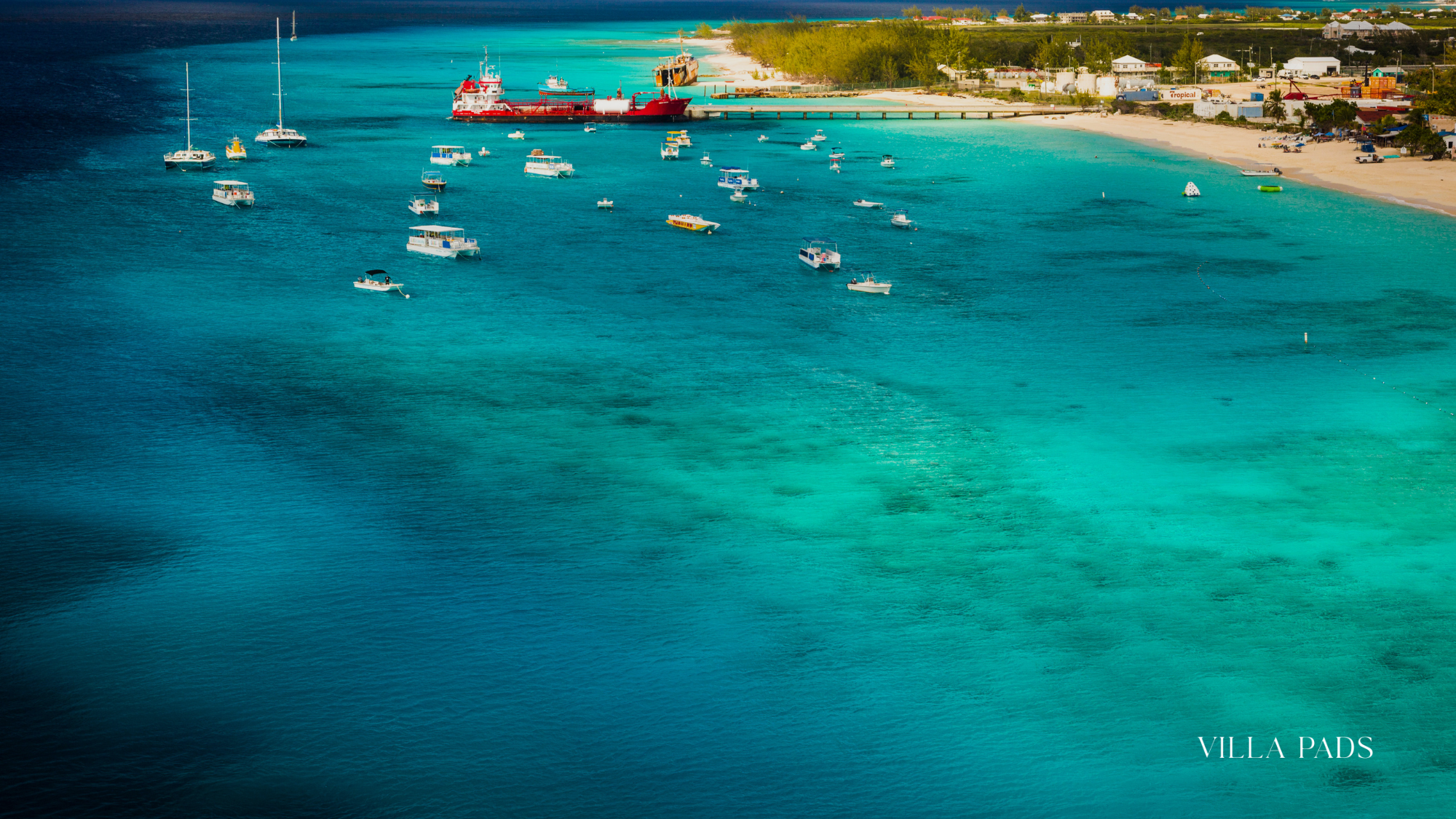 Pillory Beach Snorkeling