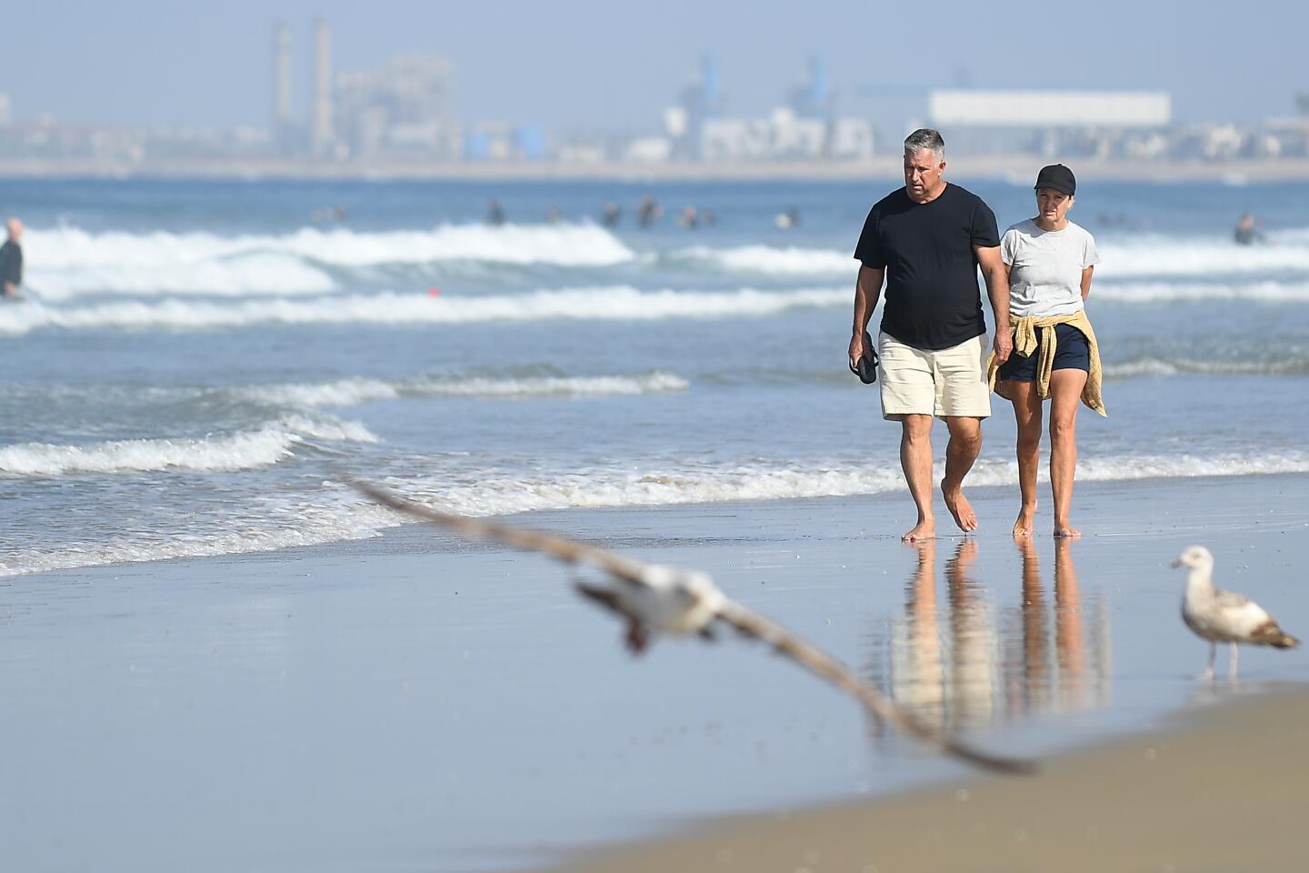 North Shore Open Space Park F1 Miami 2025