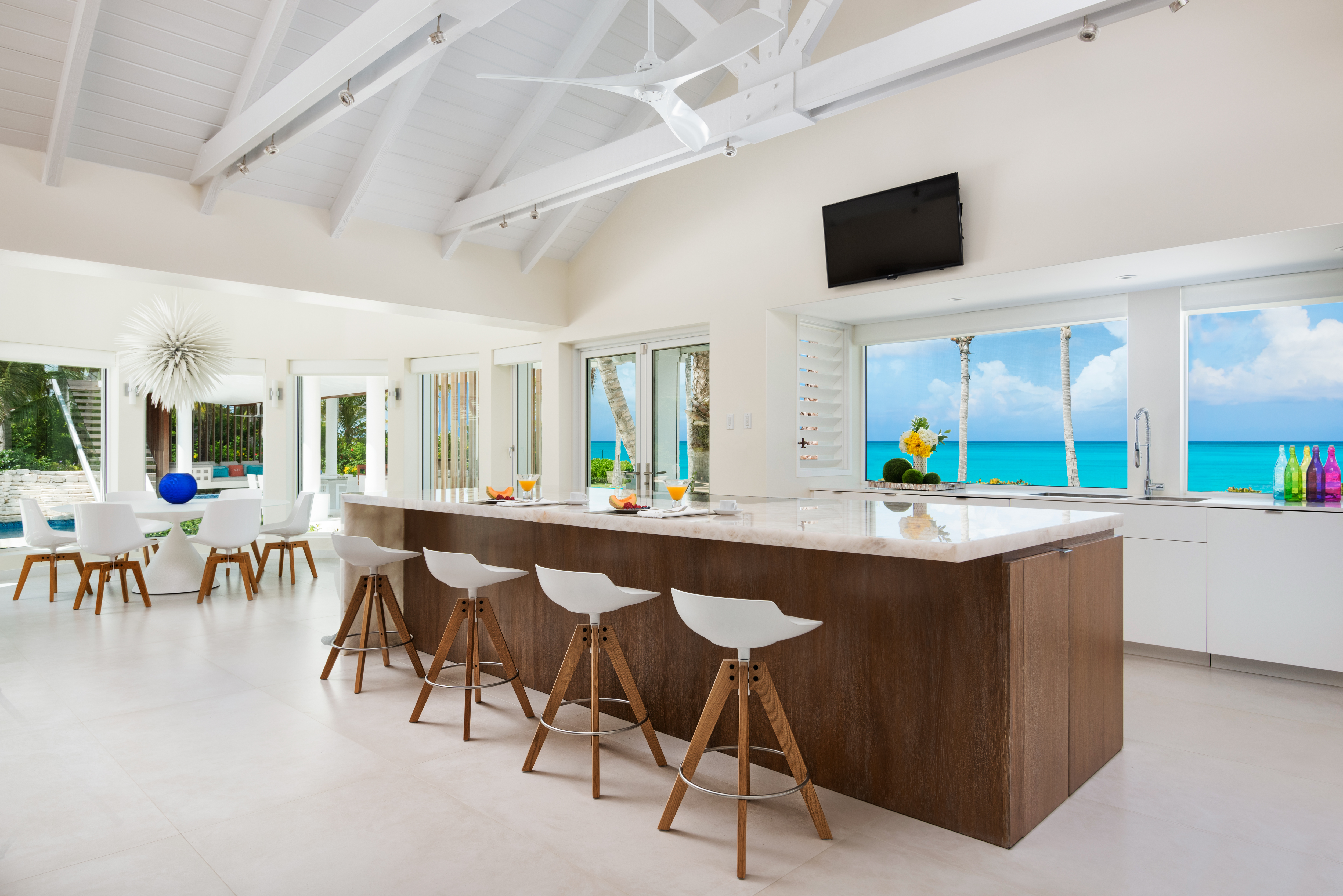 Salacia 02 in Turks and Caicos