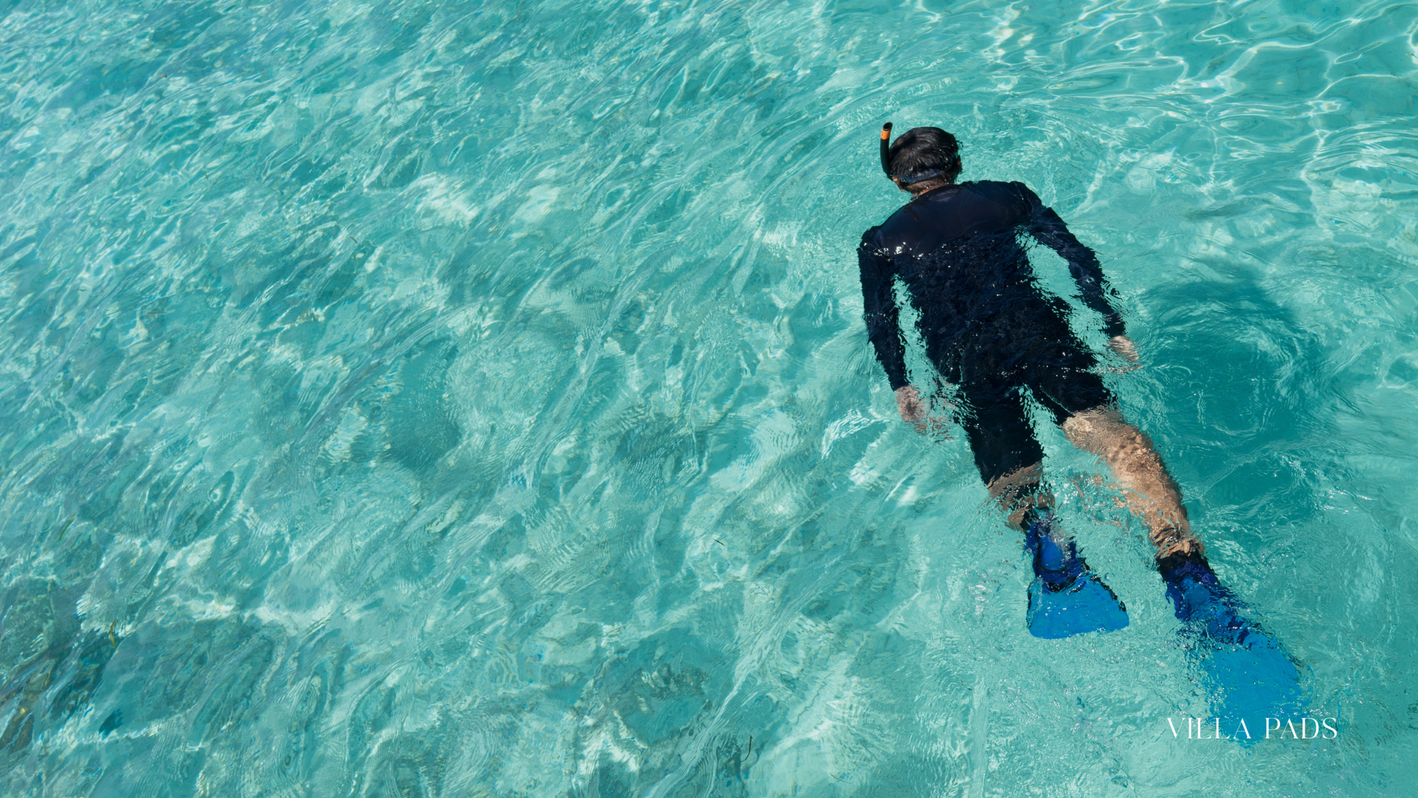 Tci Spring Snorkeling Reef