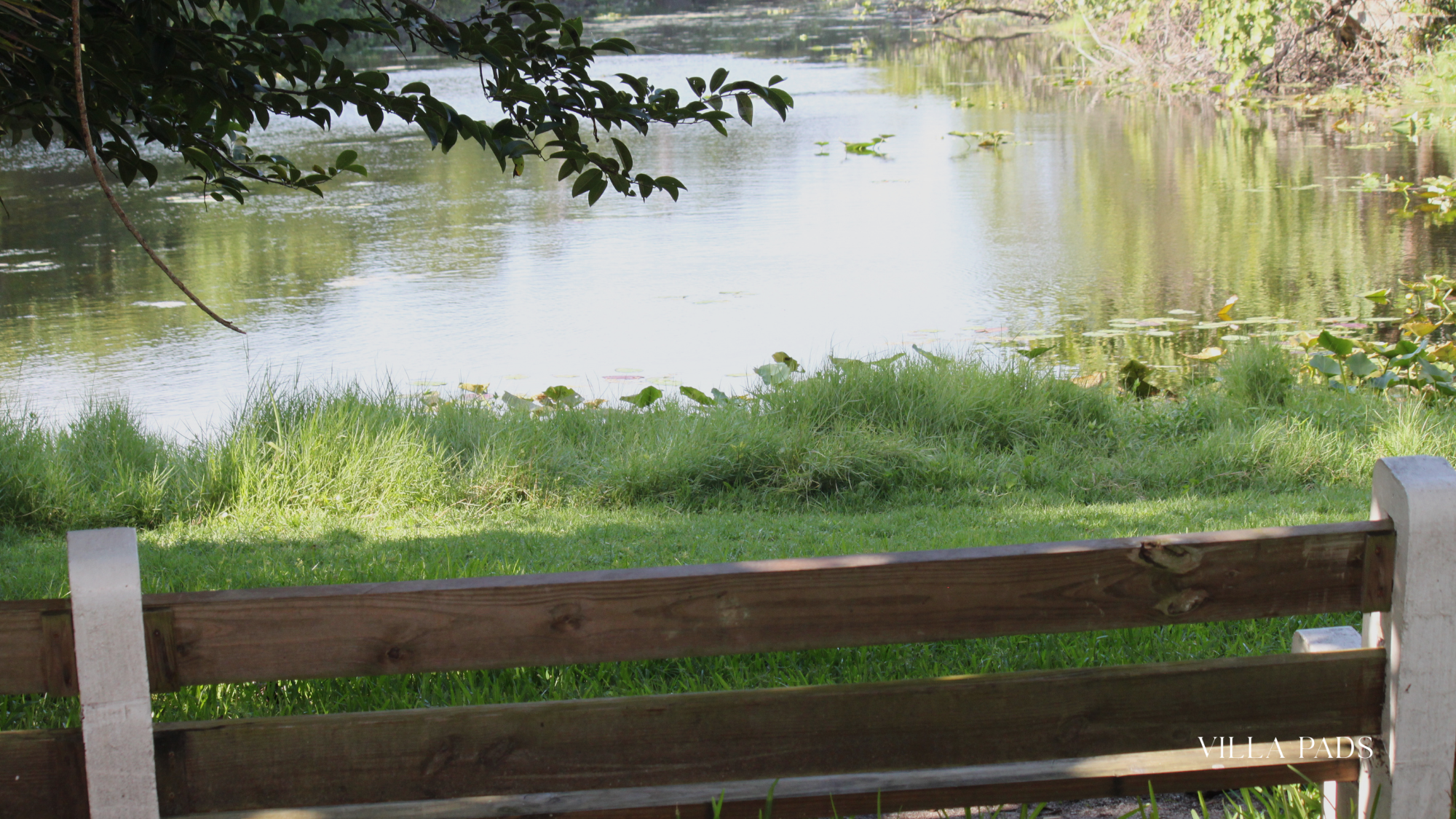 Hugh Taylor Birch Nature Walk