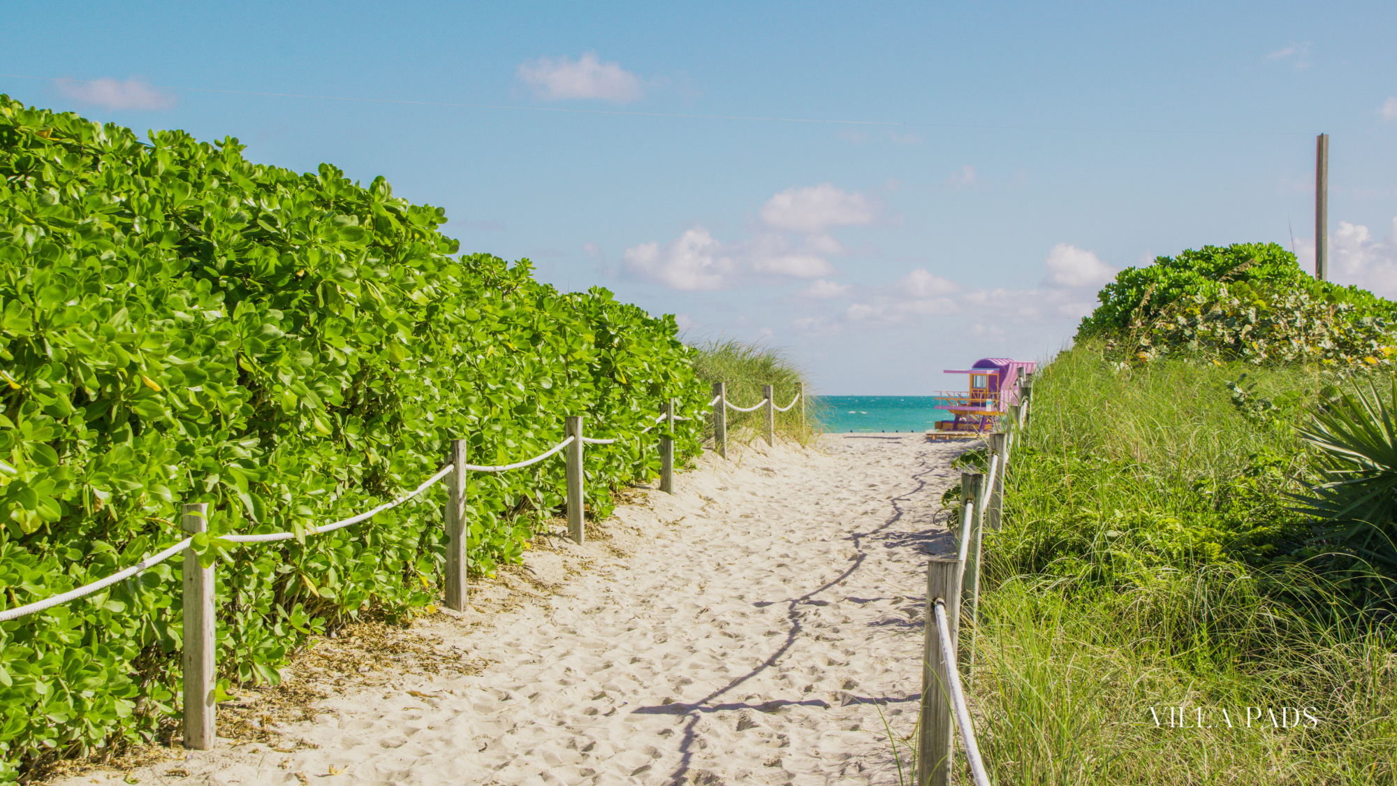 South Beach Spring Break Miami