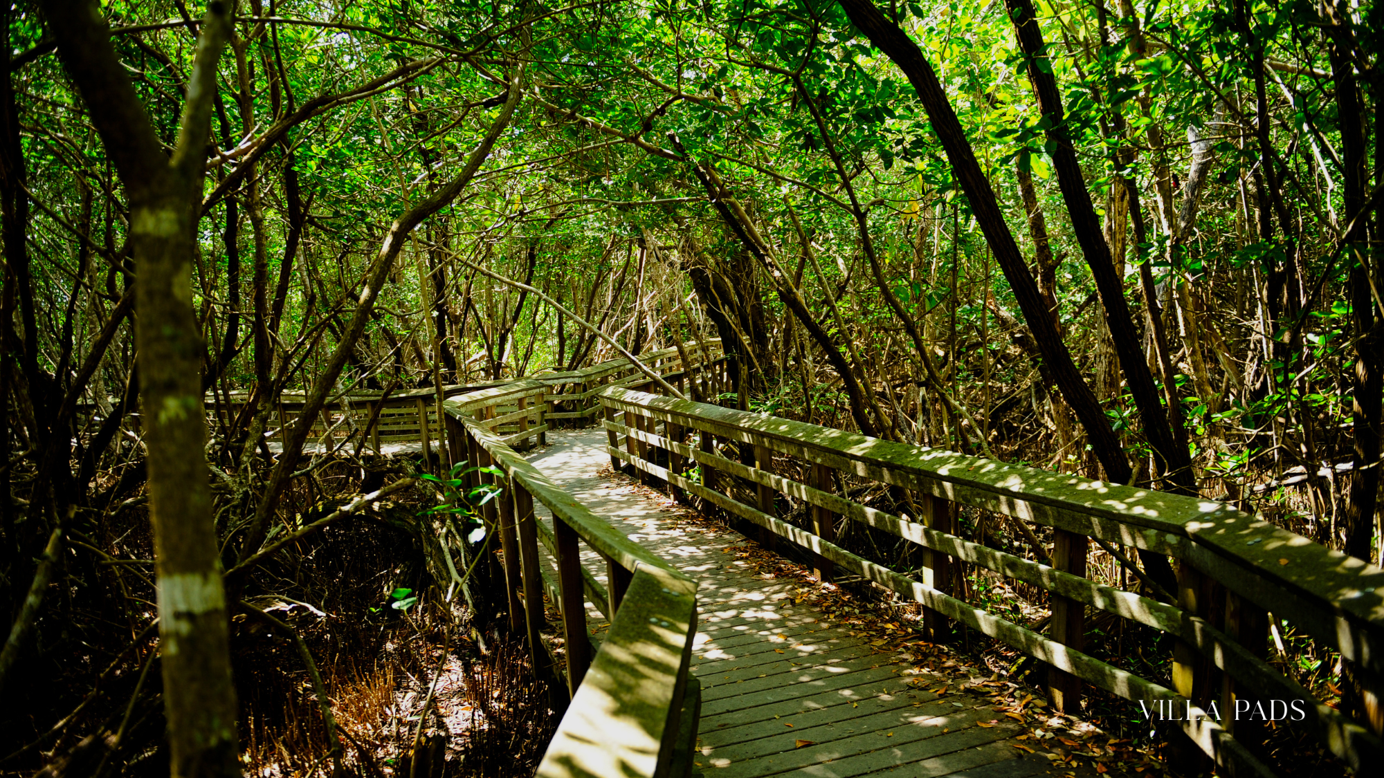 Everglades National Park Sunset