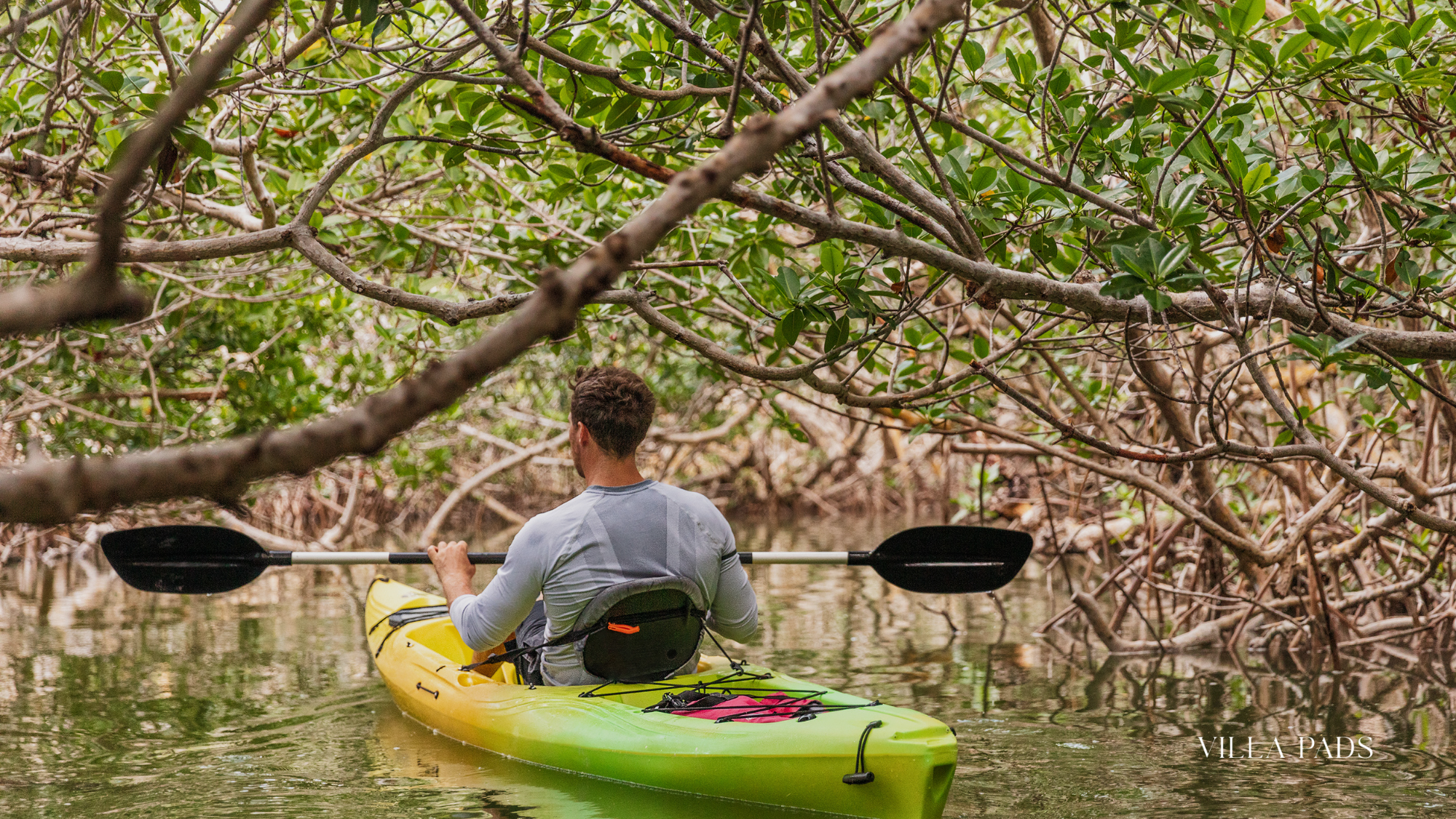 Islamorada Mangrove Kayak