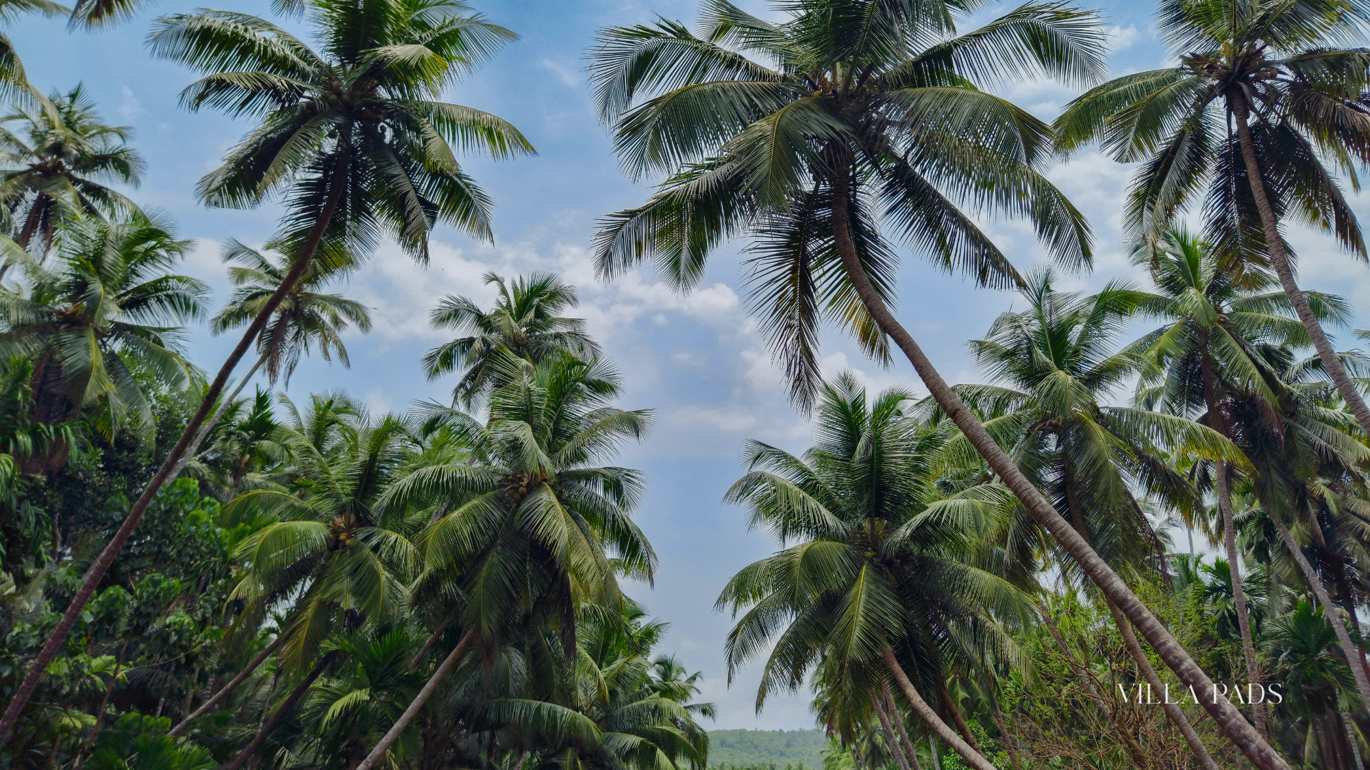 Anguilla Island Climate