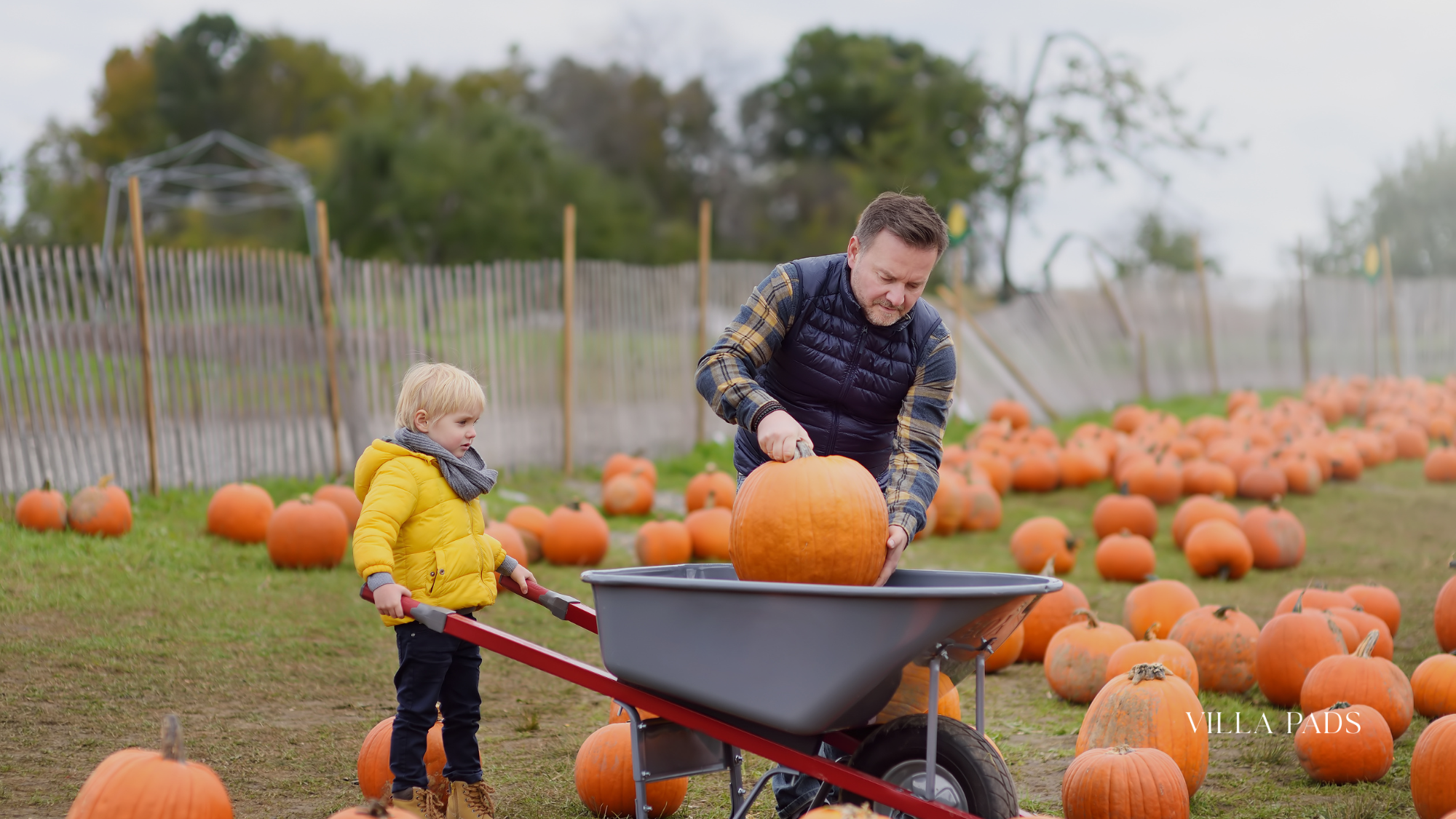 Fall Family Villa Miami