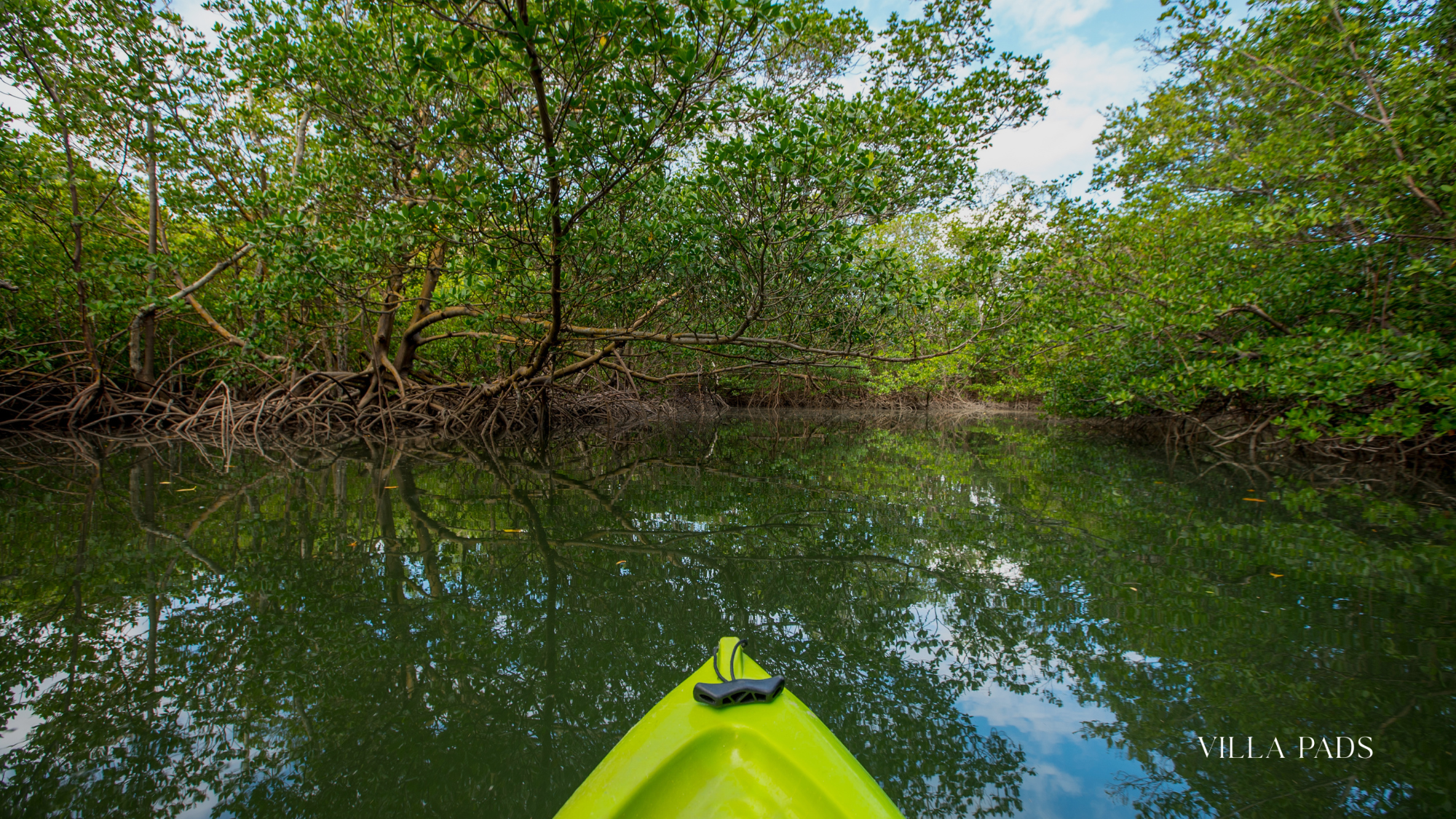 Oleta River Kayak Florida Nature