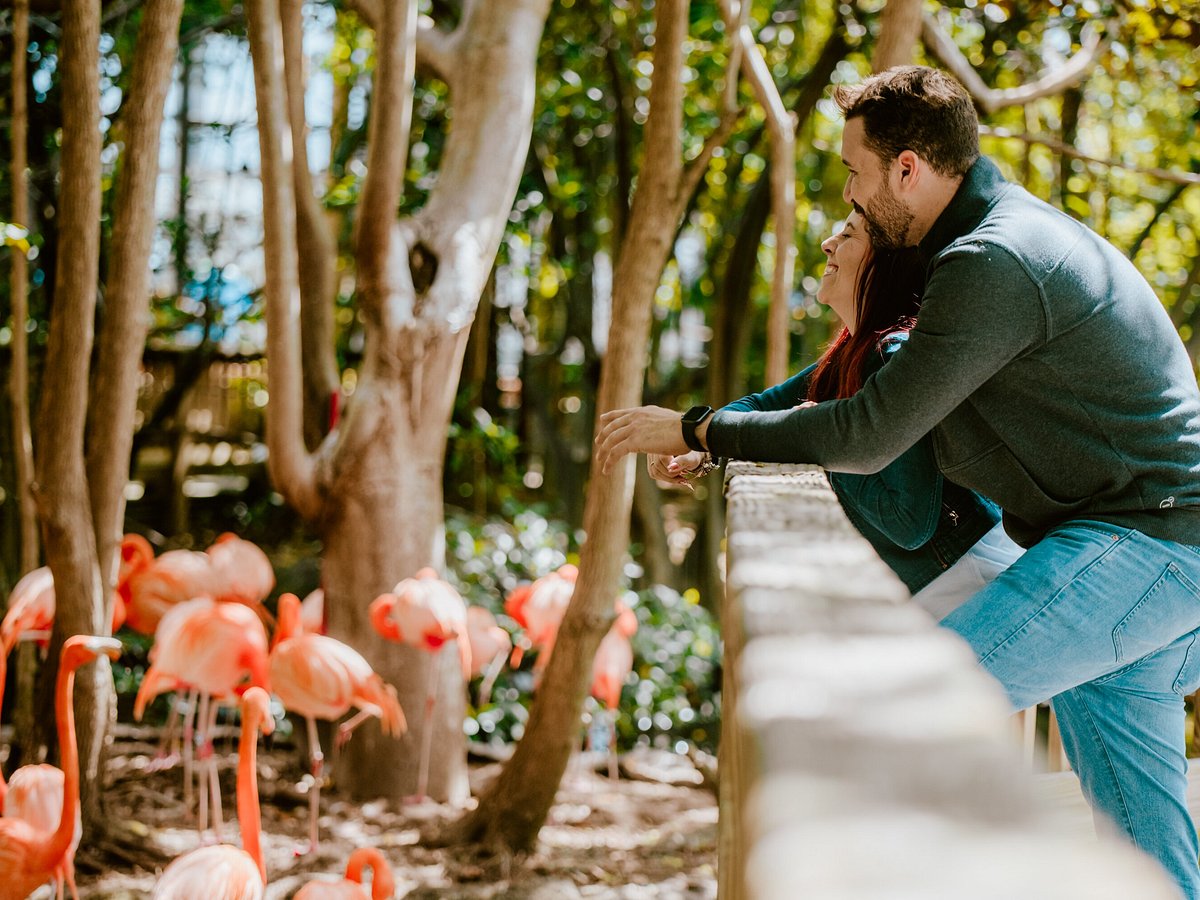 Family Jungle Island Miami