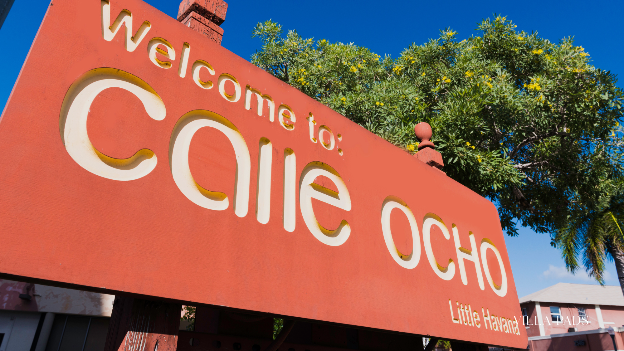 Calle Ocho Holidays Miami