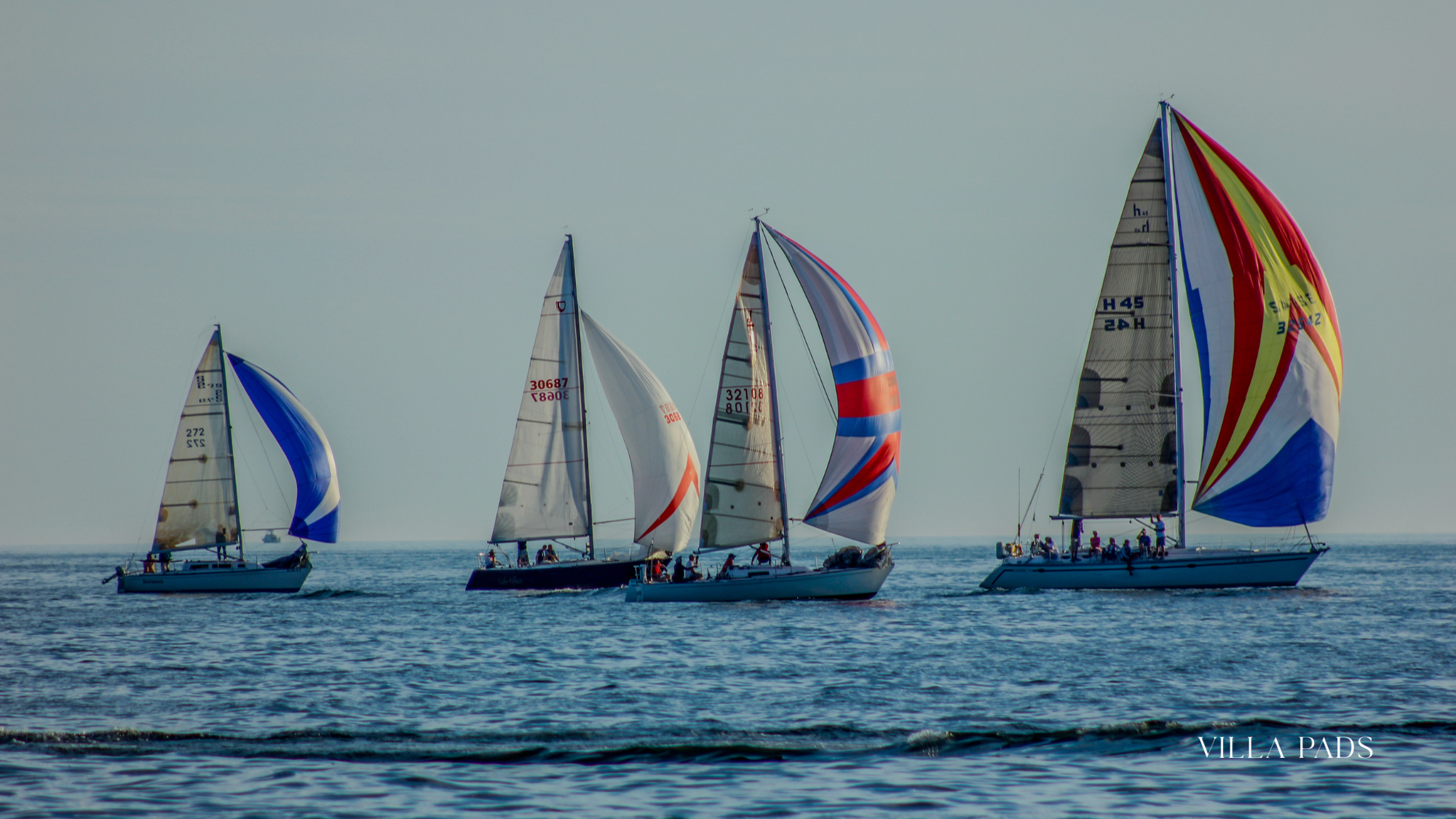 Bacardi Cup Sailboats Miami