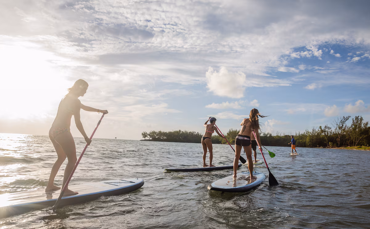 Miami Work Break Paddleboard