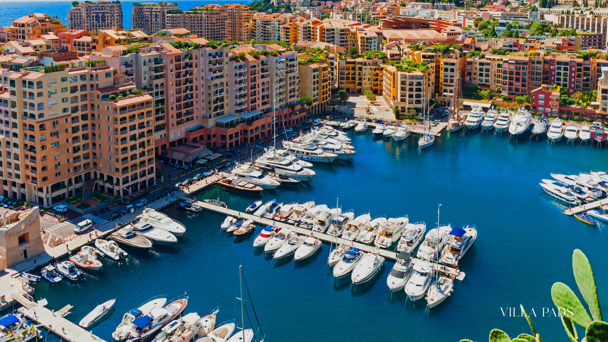 Monaco Yacht Show Guide Experience