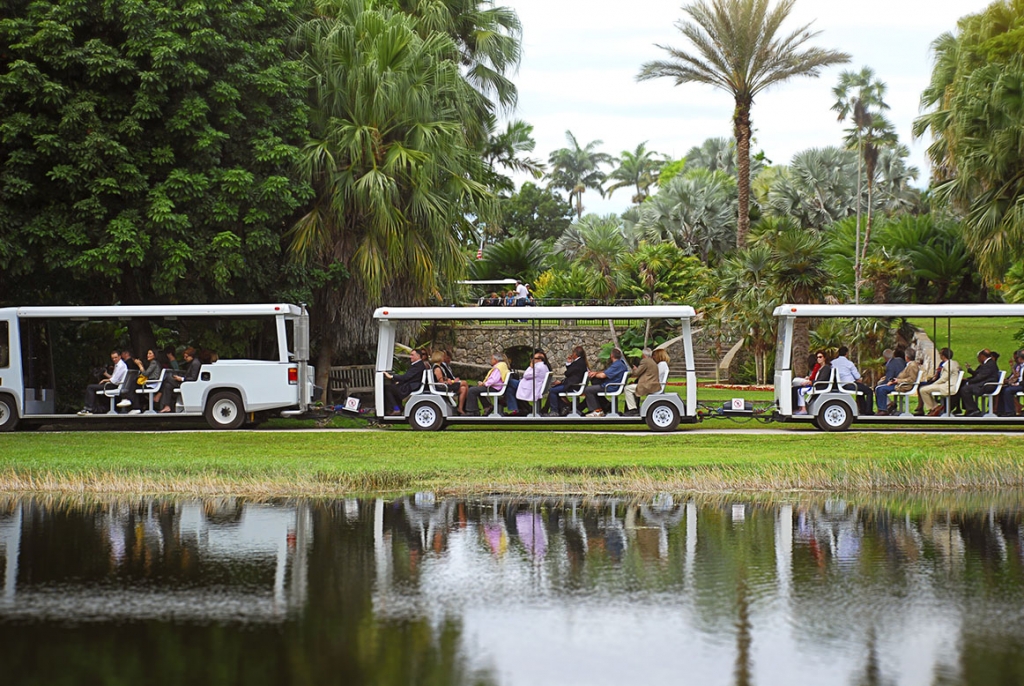 Fairchild Garden Afternoon Stroll