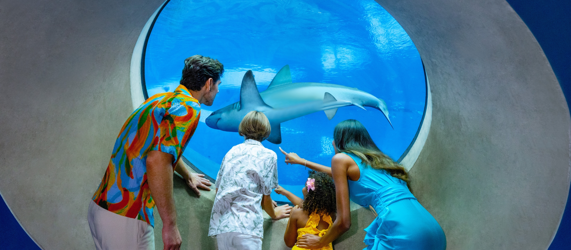 Frost Museum Miami Afternoon