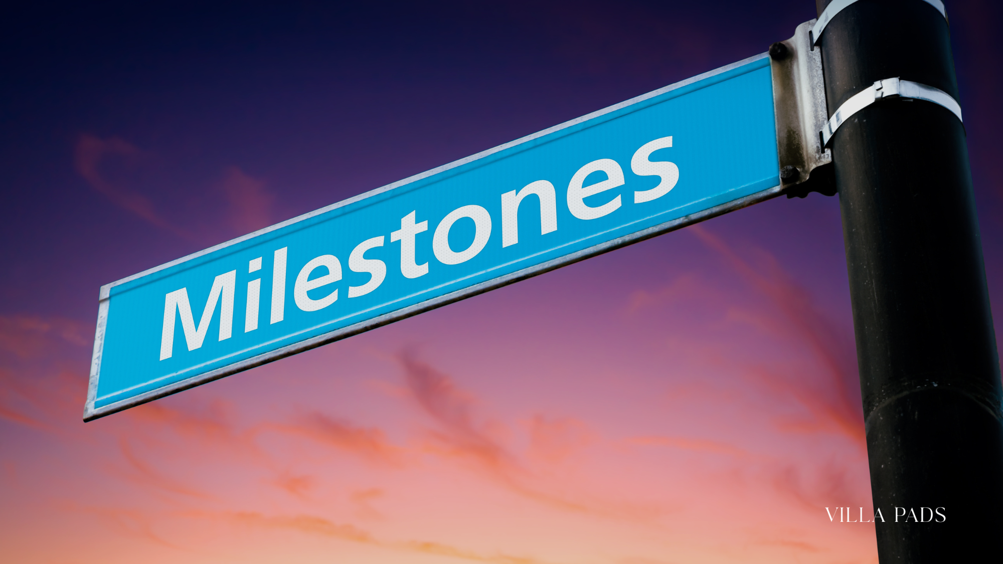 Pets Milestones St Barts Island