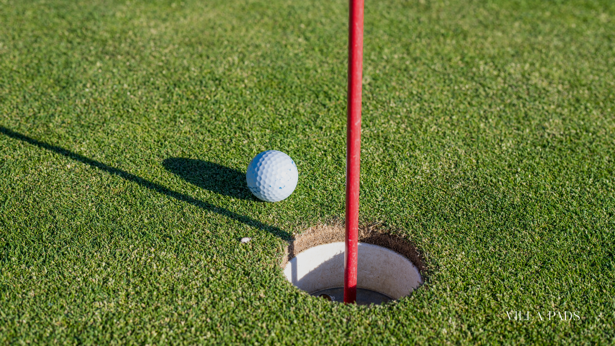 Old Palm Golf Club Png