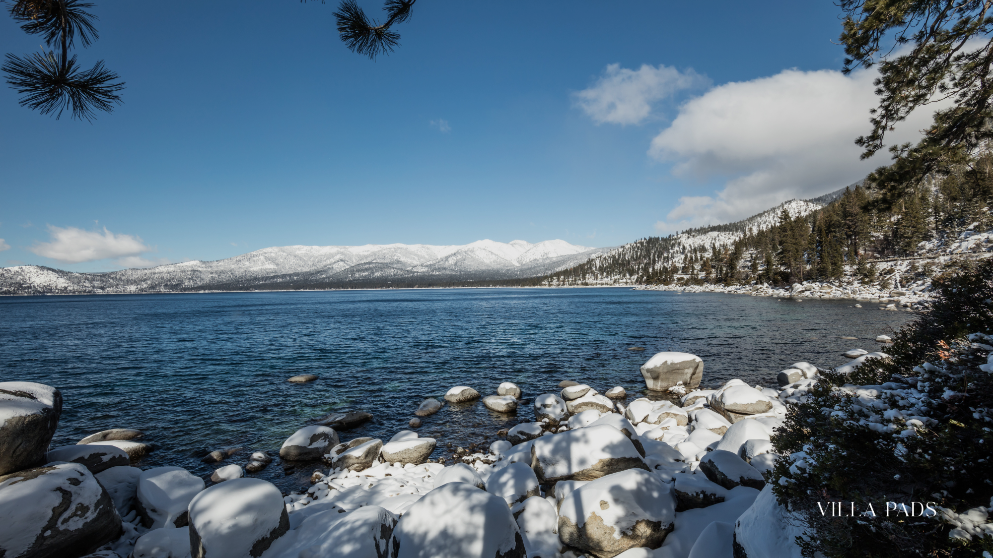Lake Tahoe Spring Waterfall Wildflowers