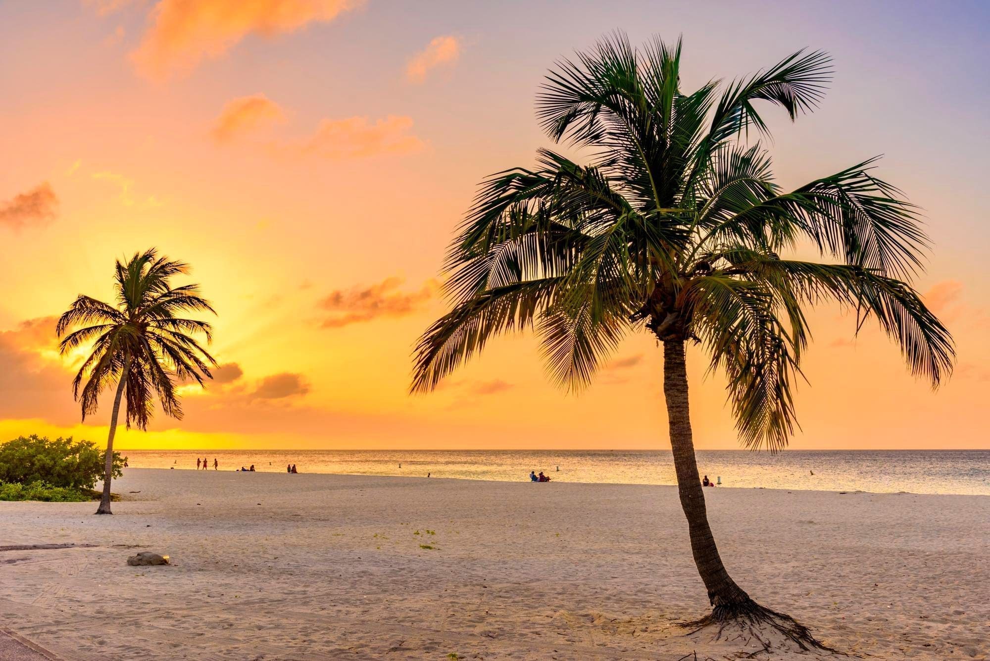 Las Olas Beach Sunset