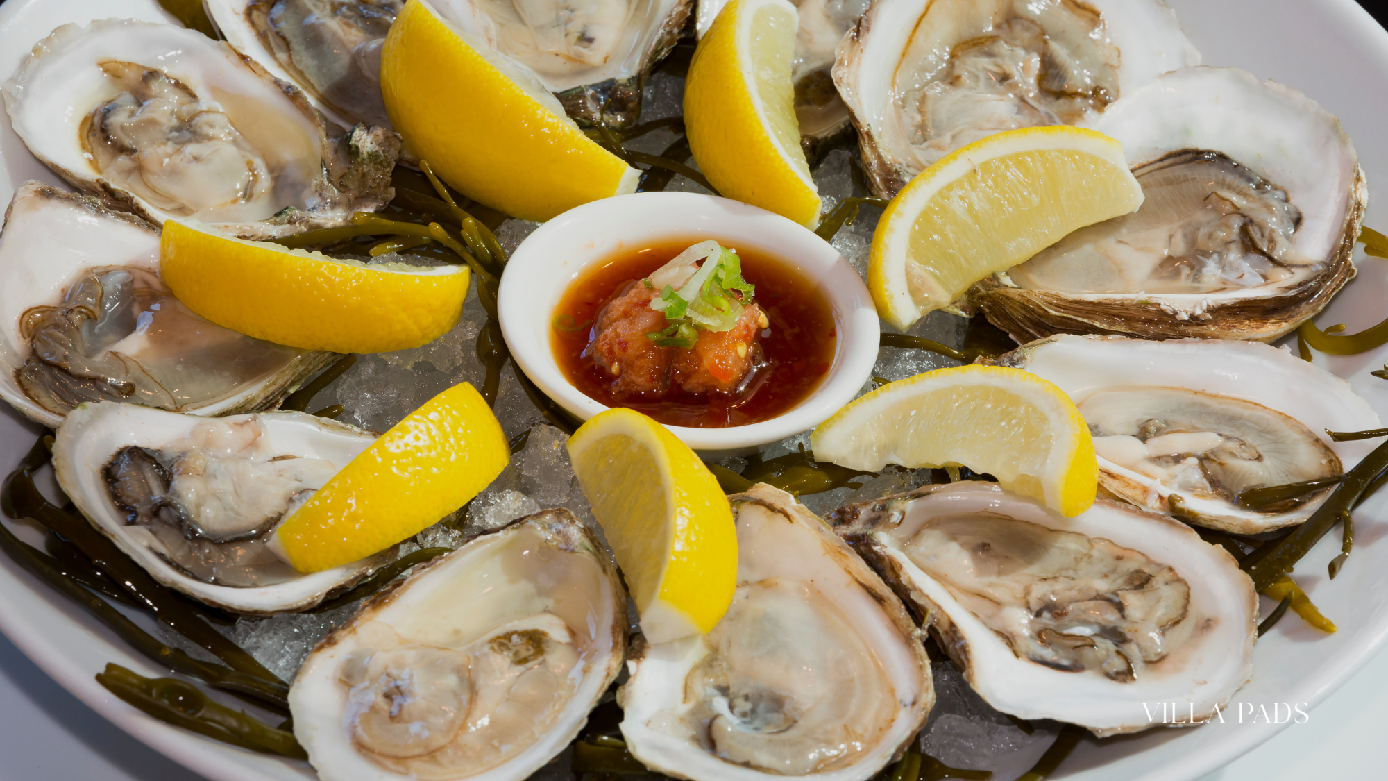 Clarks Oyster Bar Aspen