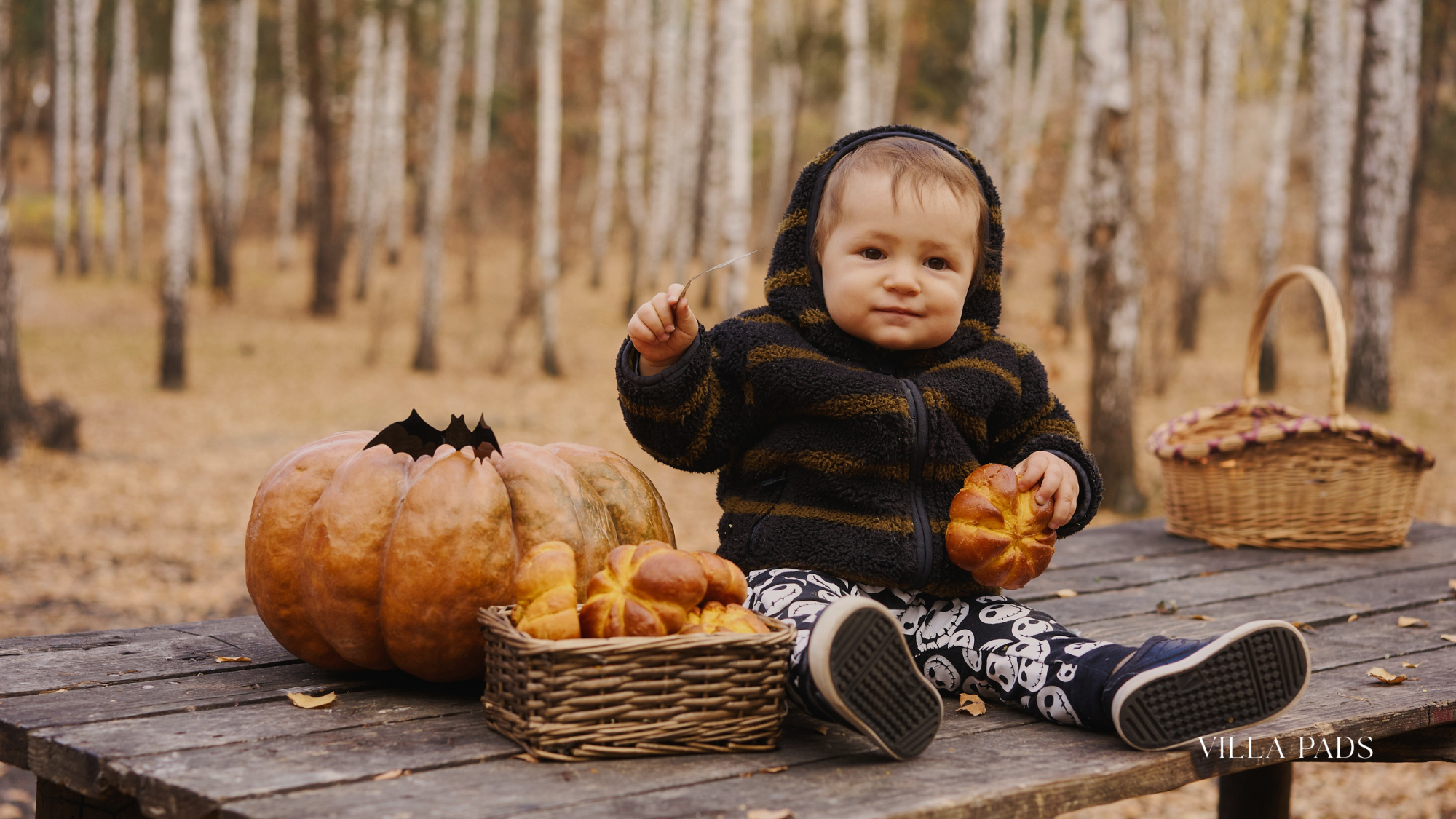 Miami Fall Family Activities