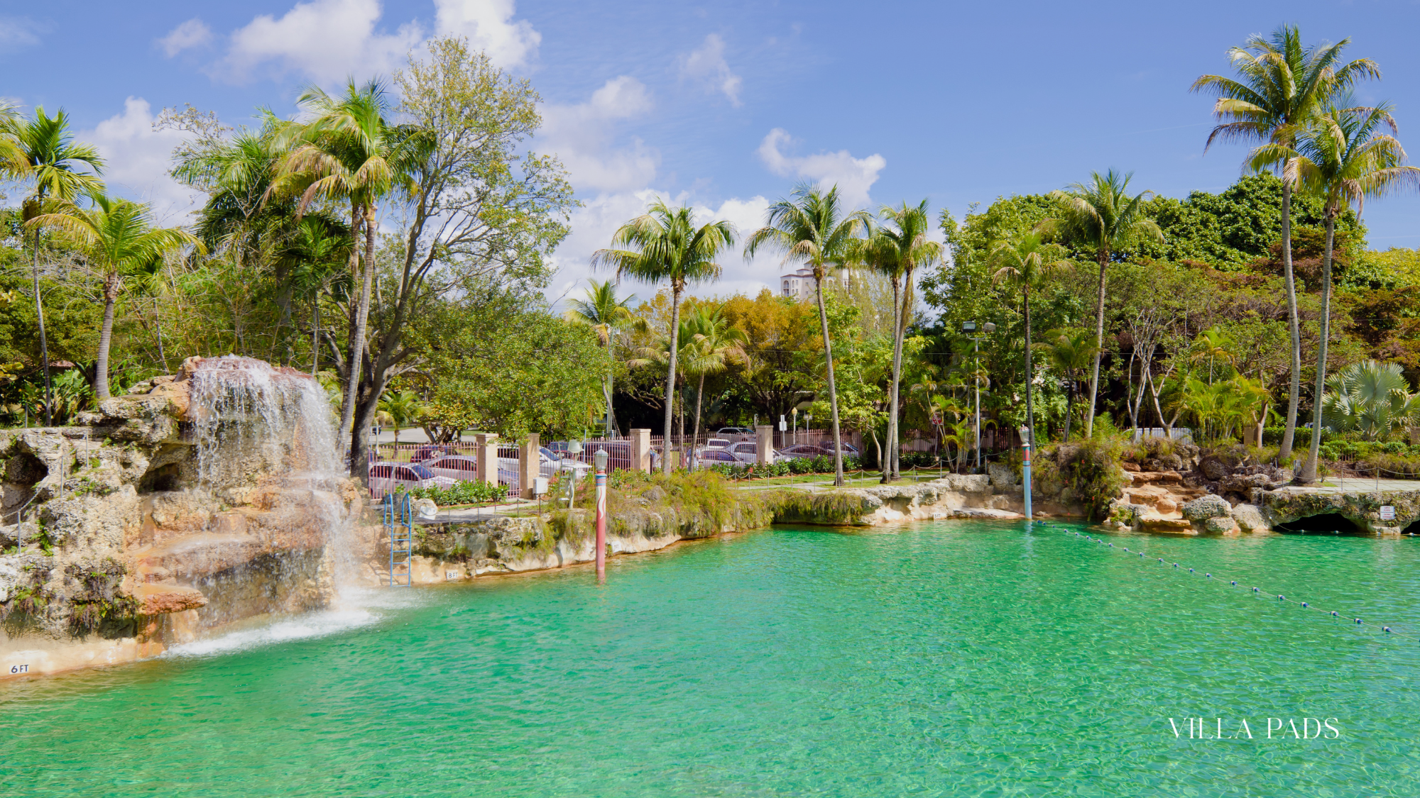 The Venerian Pool Coral Gables