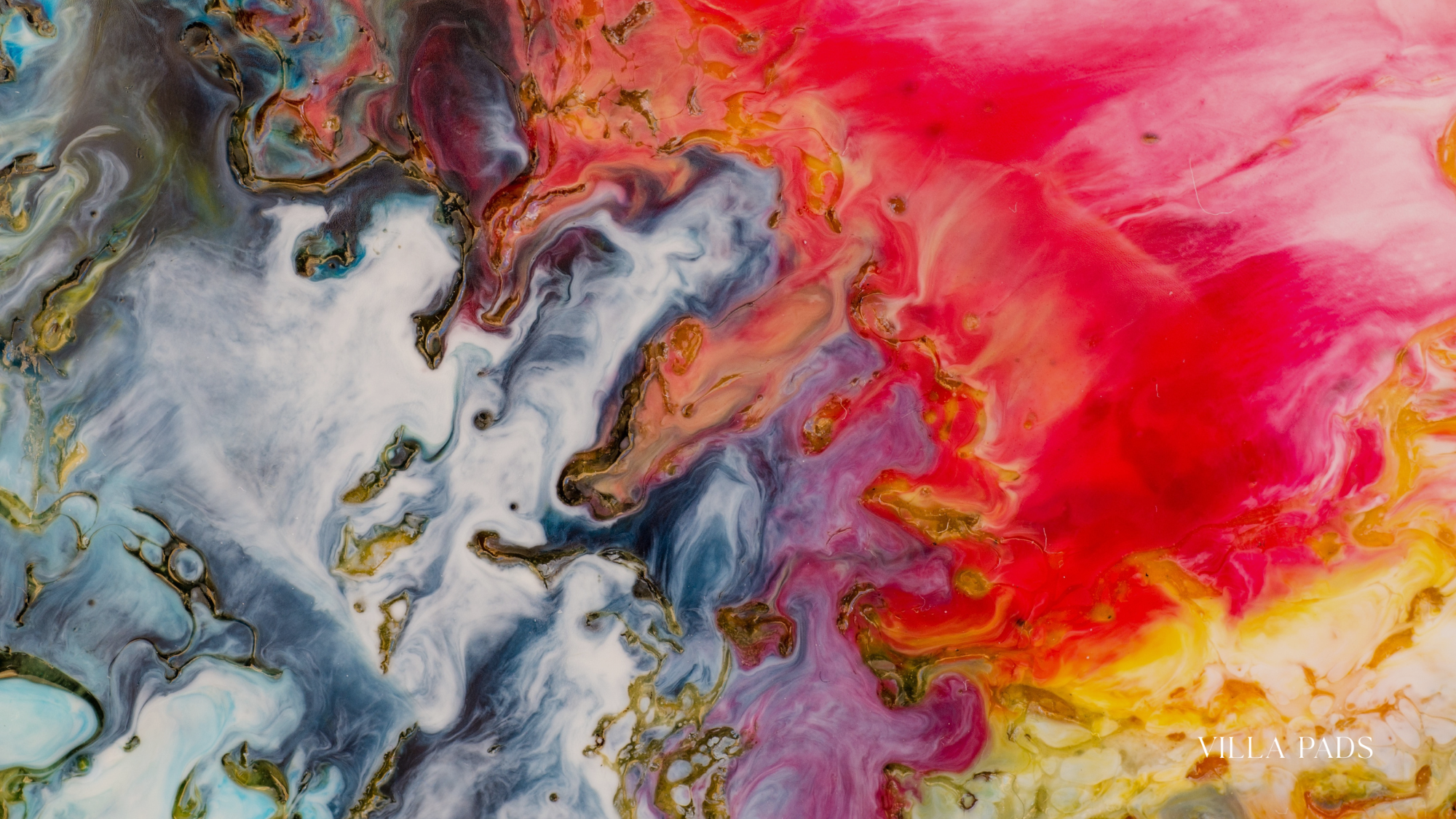 Wynwood Art Tour Miami