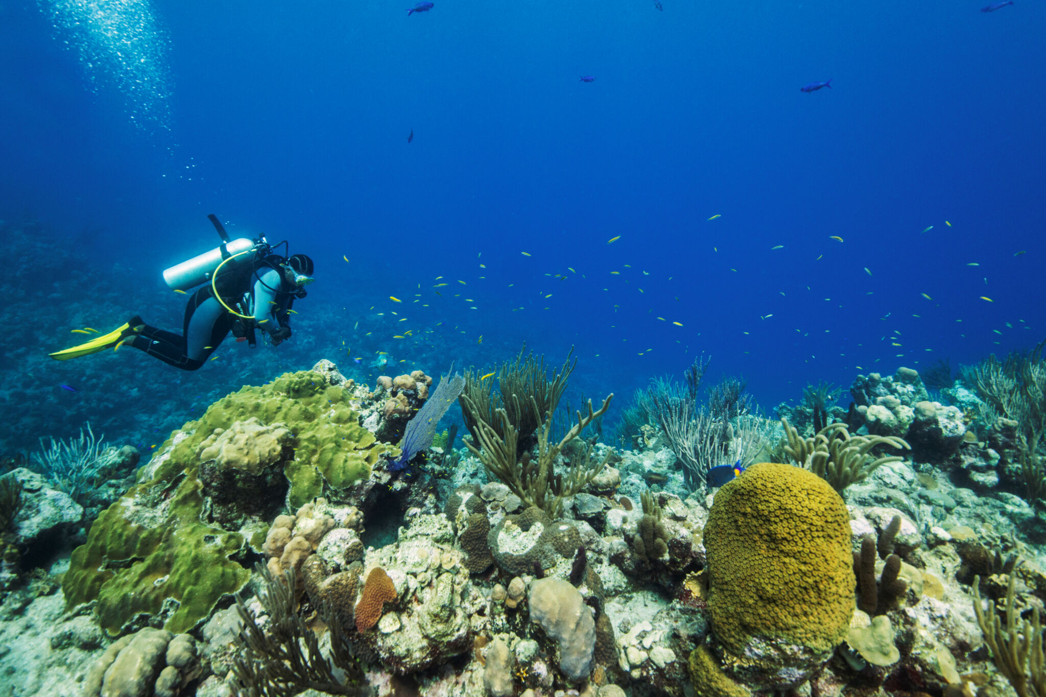 Diving On The Grace Bay Barrier Reef Providenciales 2048x1365