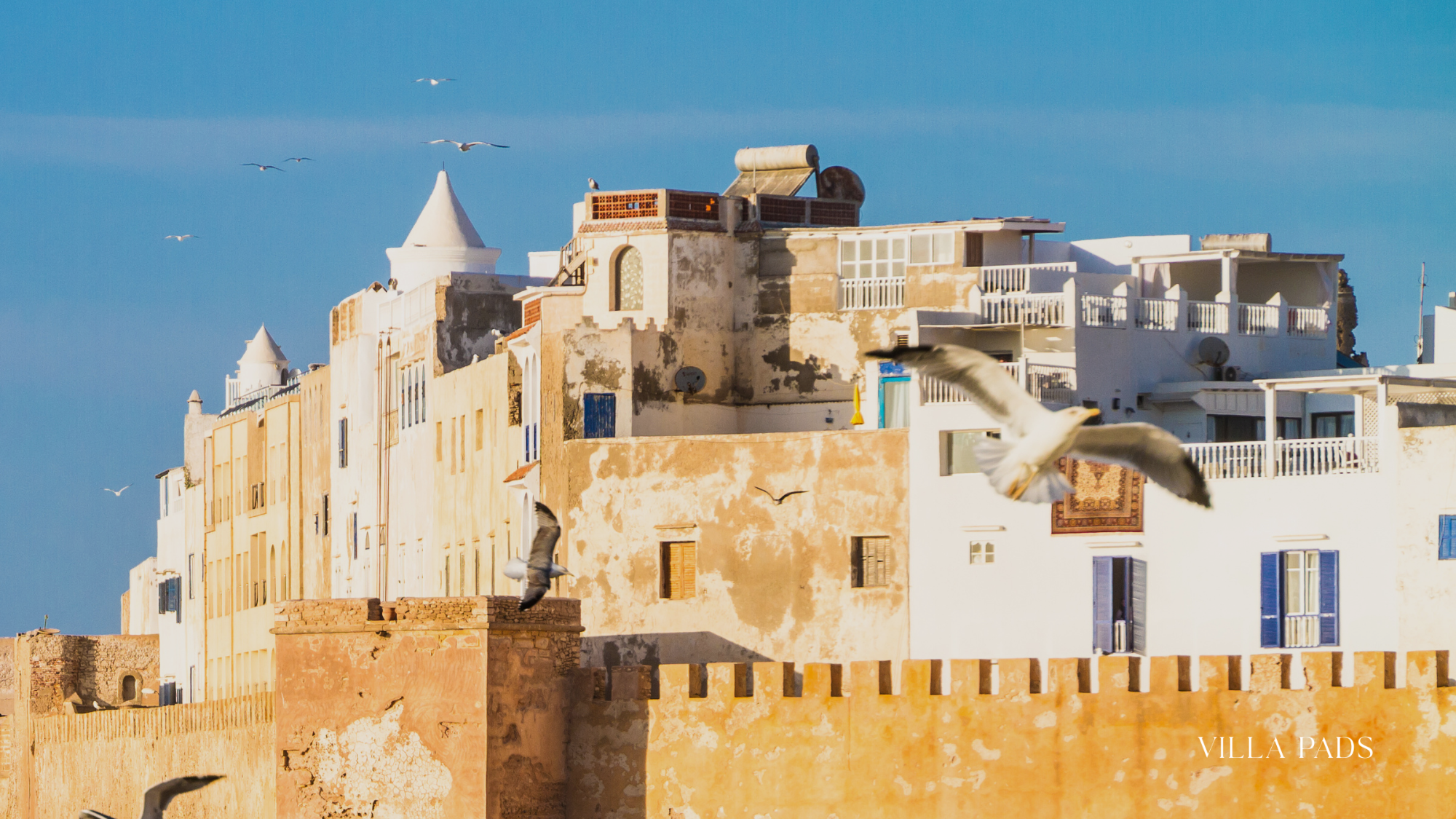 Essaouira Day Trip