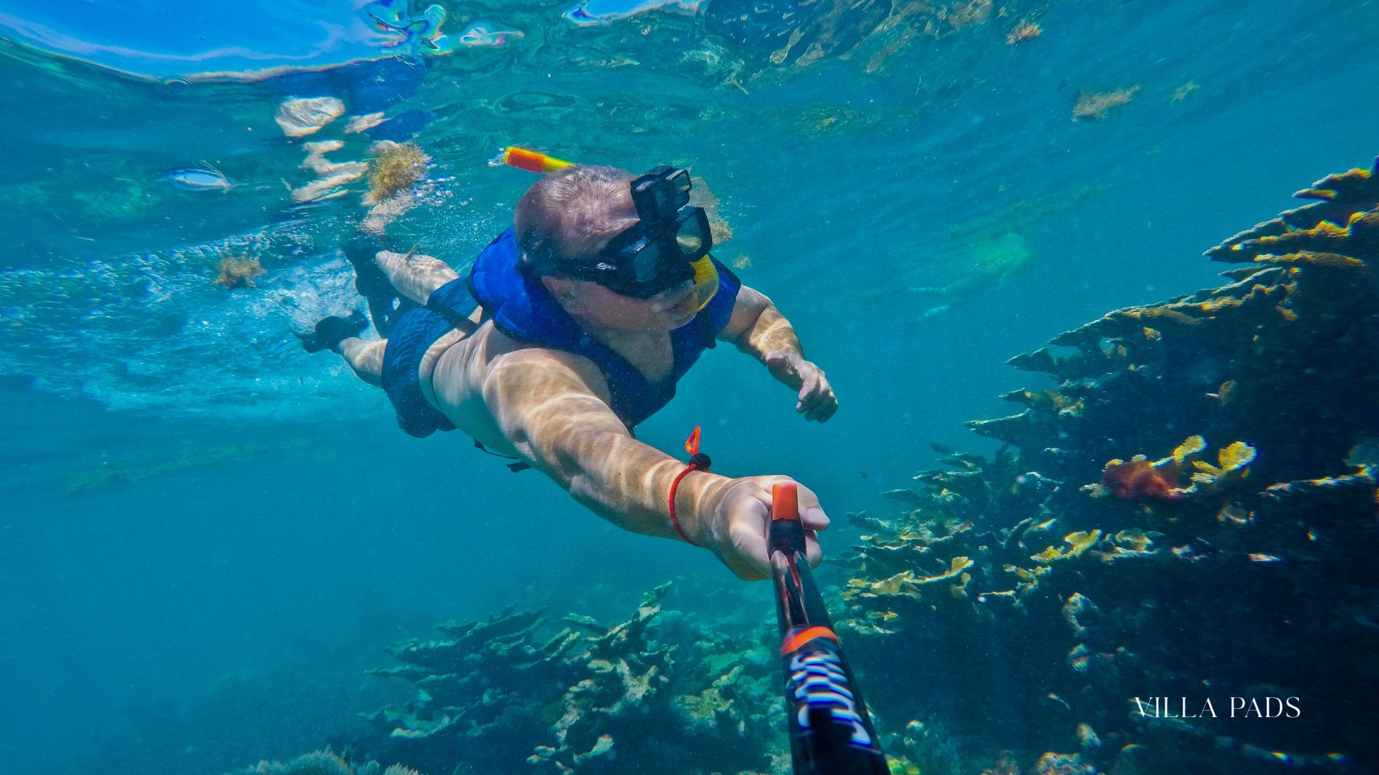 Key Largo Snorkeling Day Trip