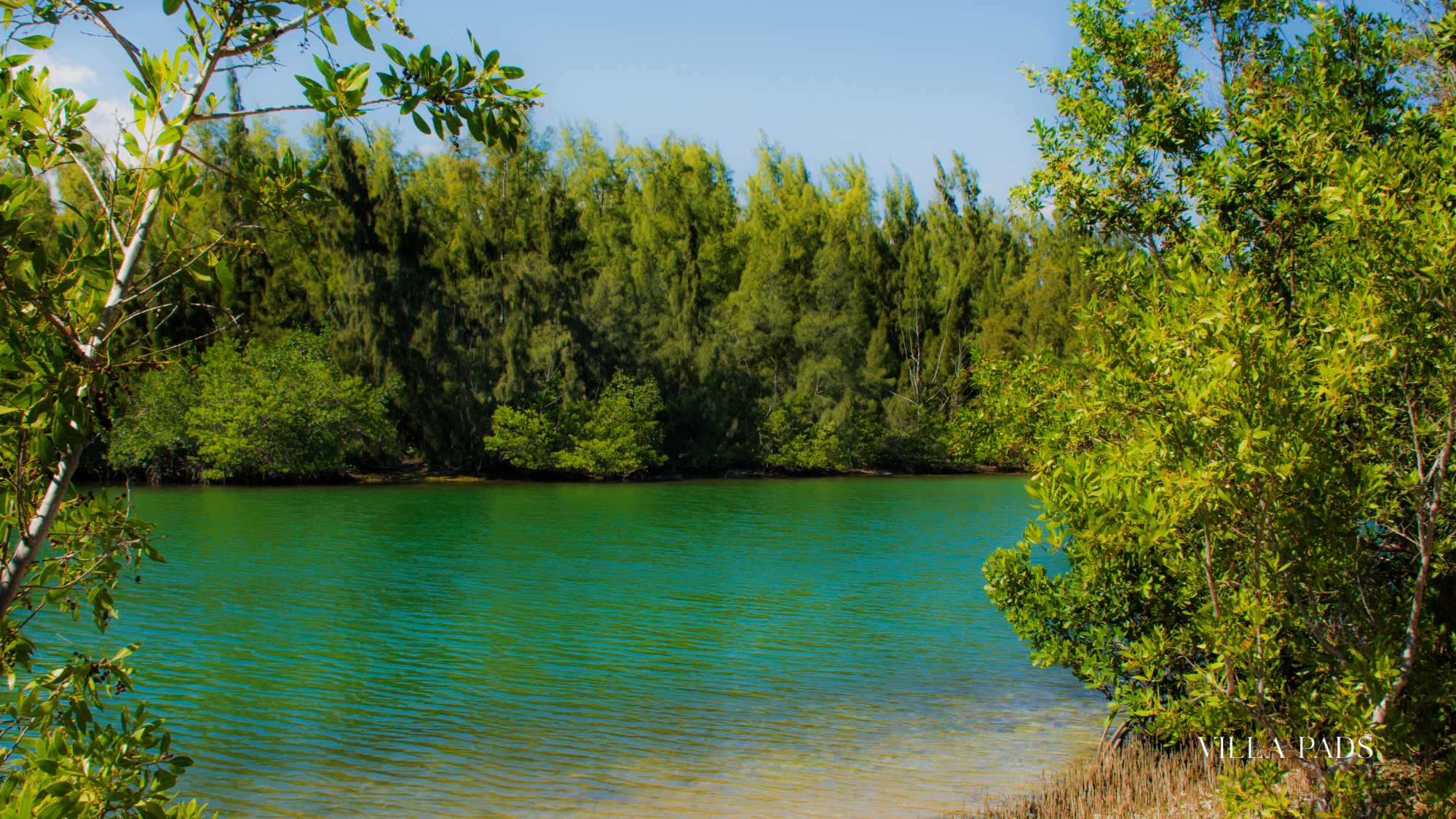 Oleta River Kayaking Day Trip