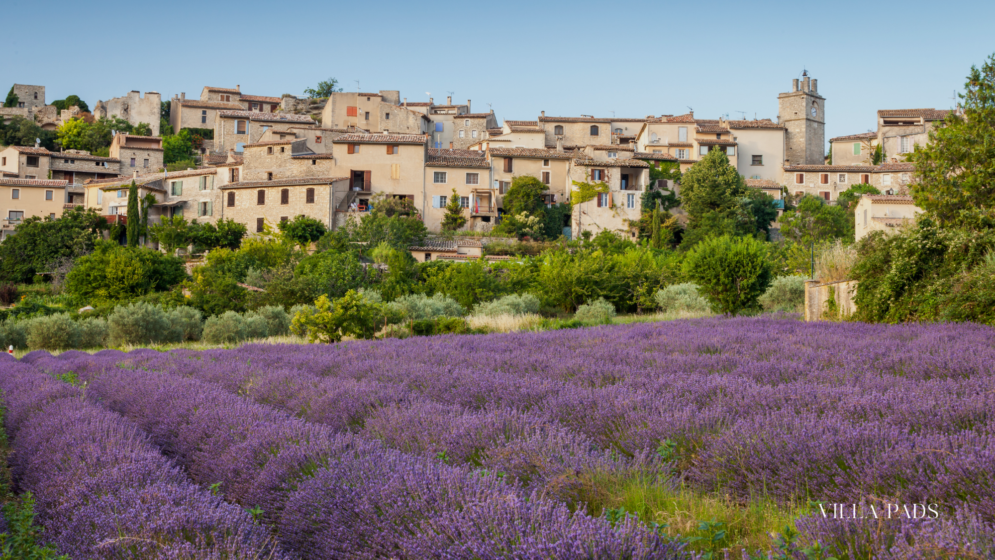 Provence Lavender Villas