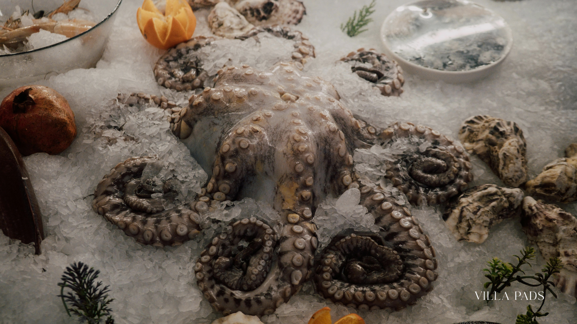 Mykonos Seafood Restaurant Fresh Catch Display