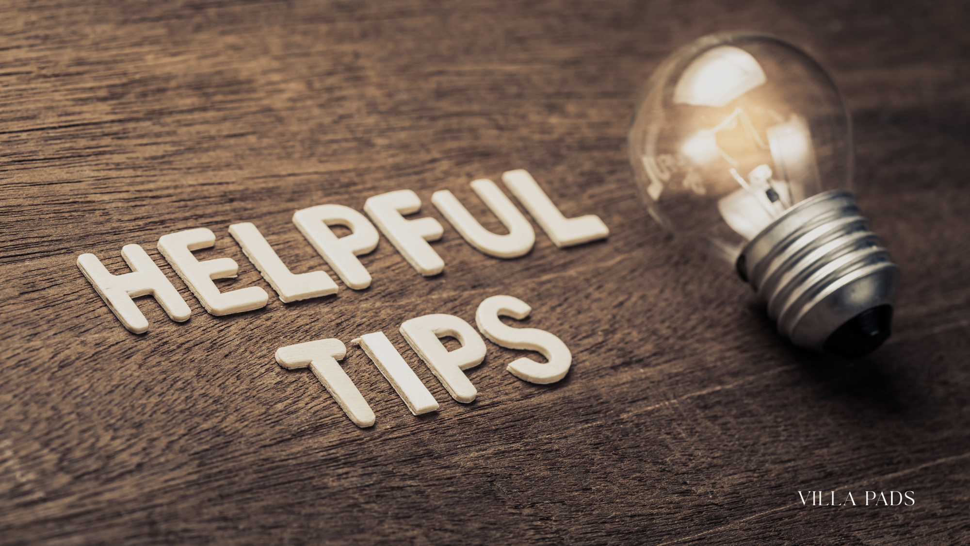 Booking Tips Bacardi Cup 2025
