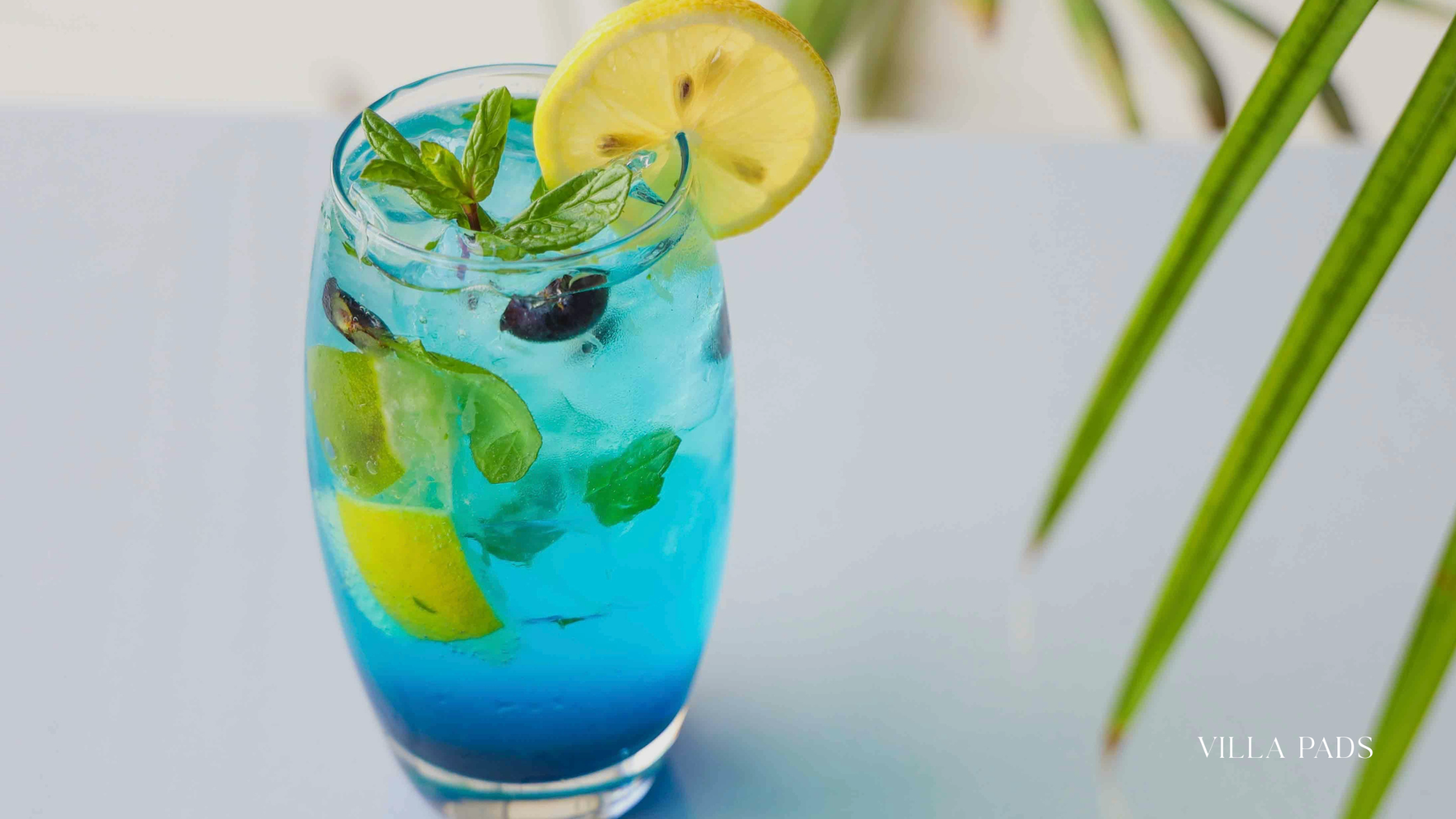 South Beach Mocktail Scene