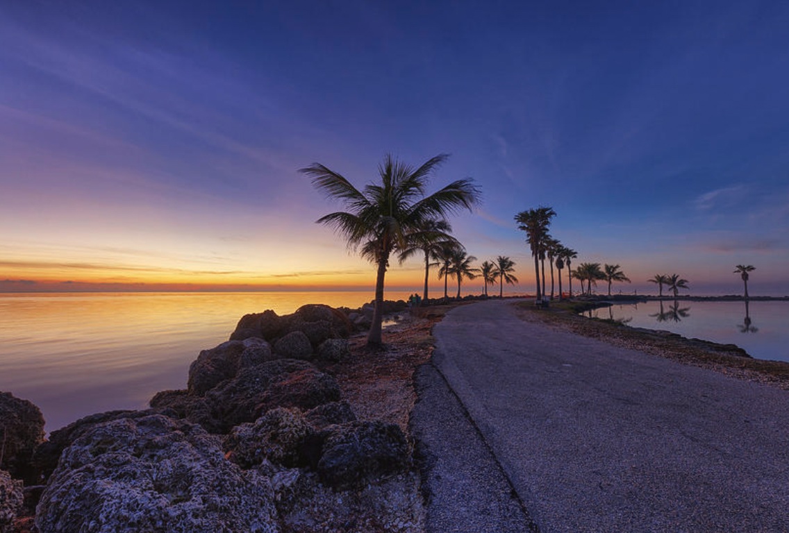 Matheson Hammock Park F1 Miami 2025