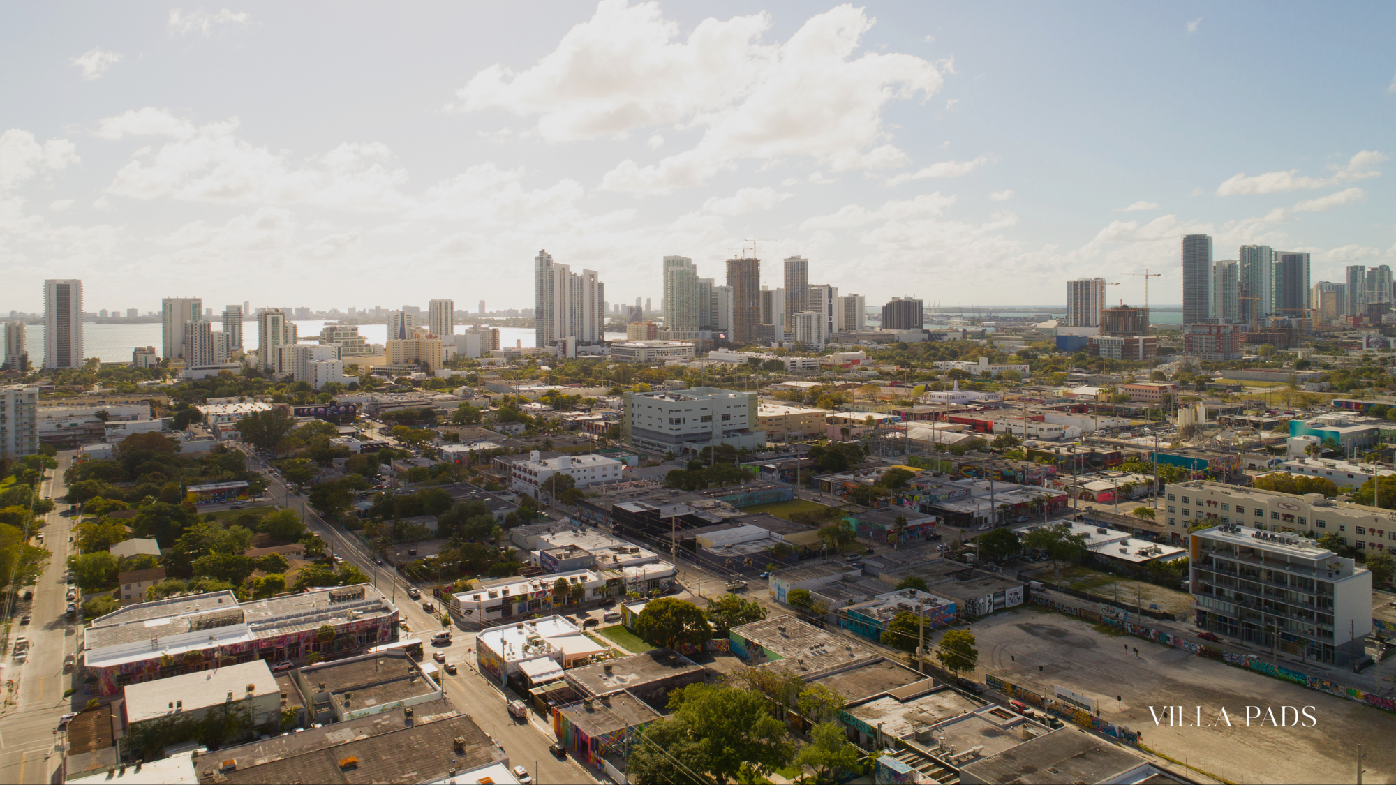 Wynwood Celebrity Art Tour