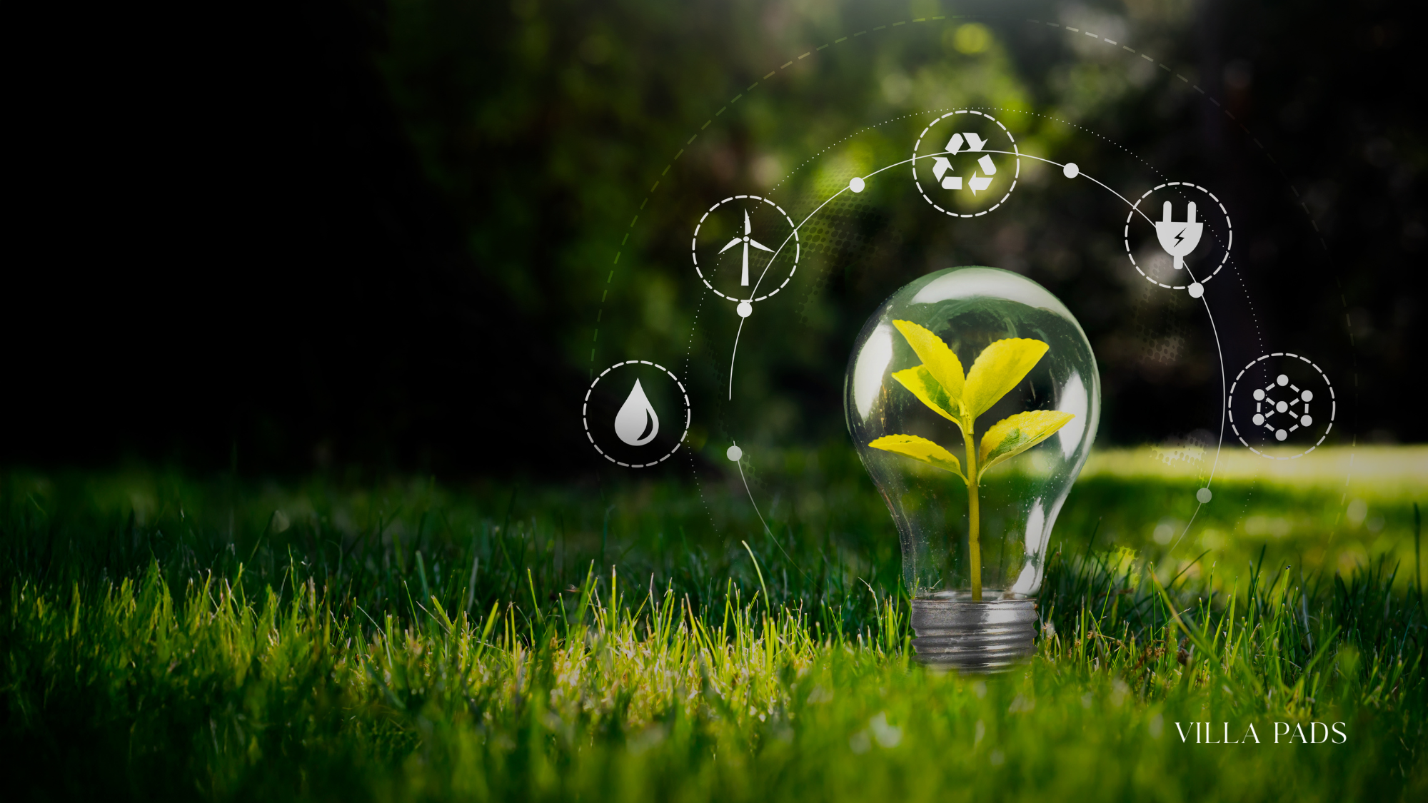 Vail Sustainability Stewardship