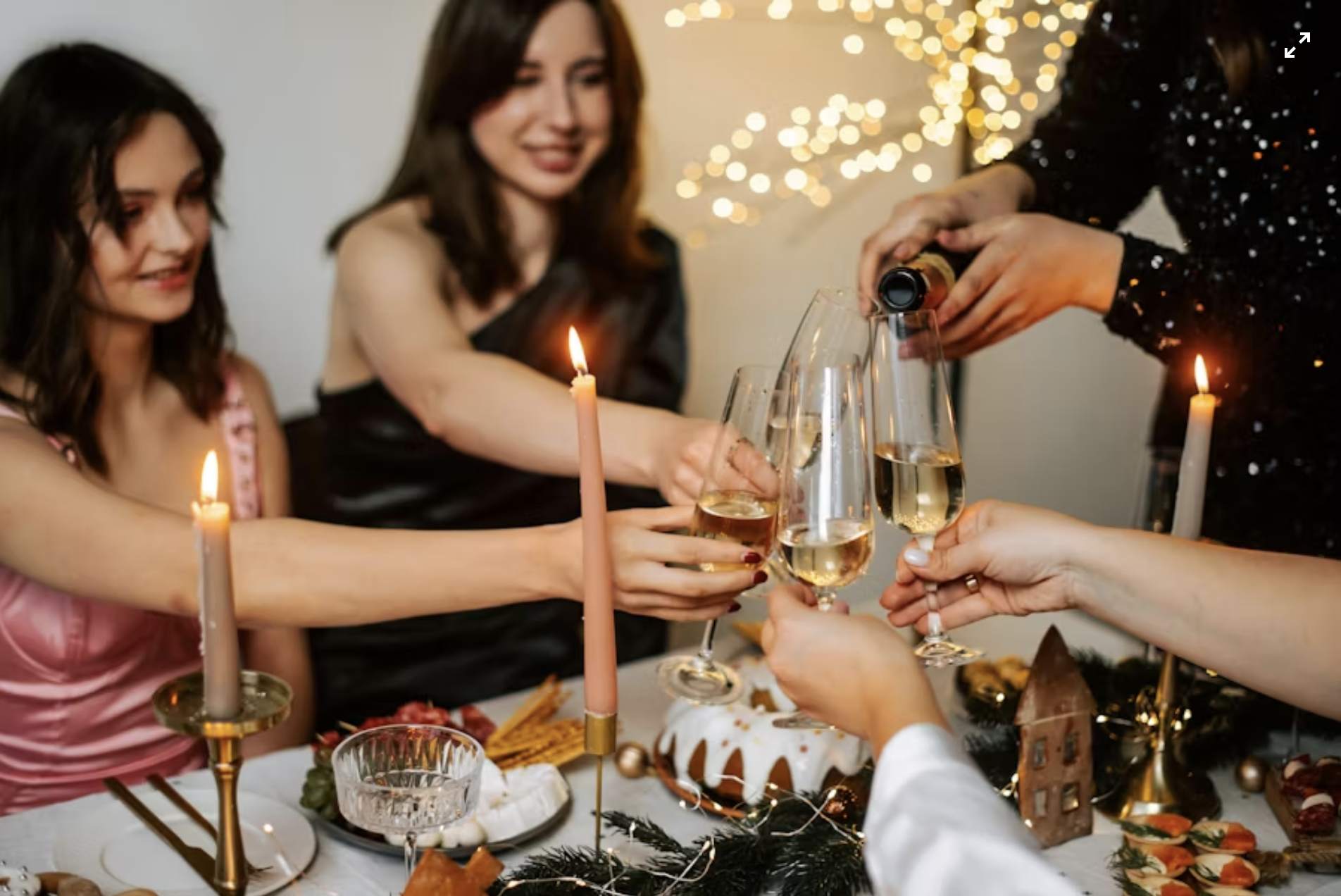 Villa Dinner Guest Toast