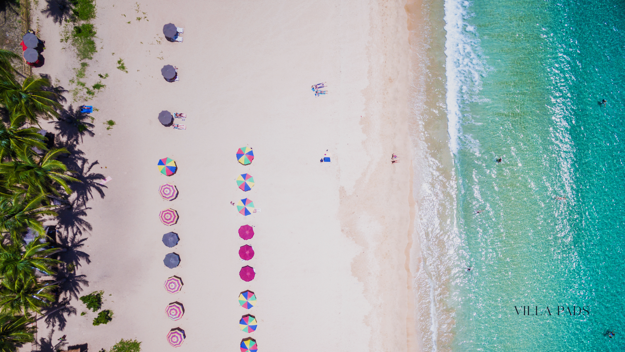 Harbour Island Pink Sand Beach