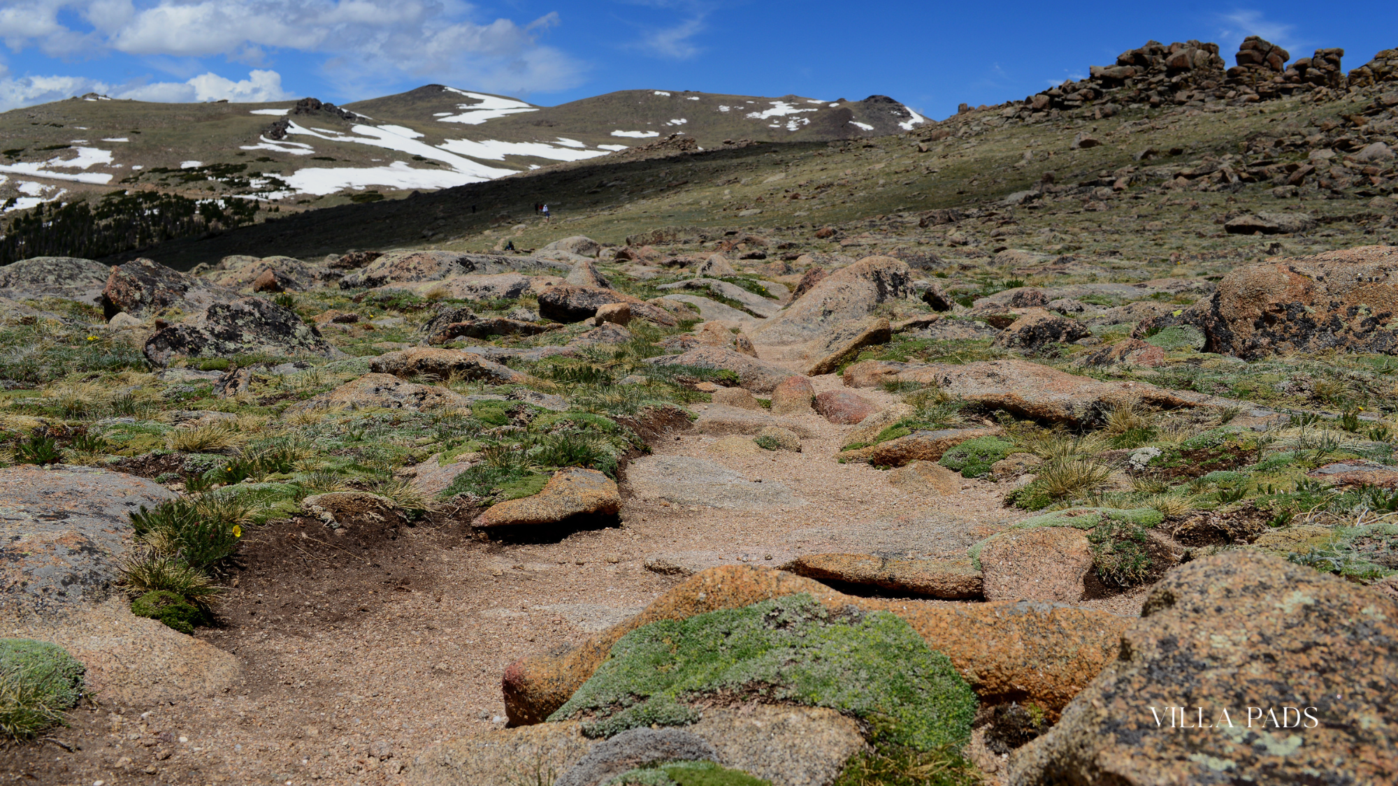 Ute Trail Aspen Colorado